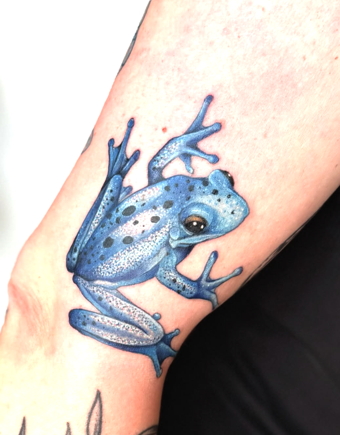 Screenshot 2026-03-03 at 6.08.13 PM.png