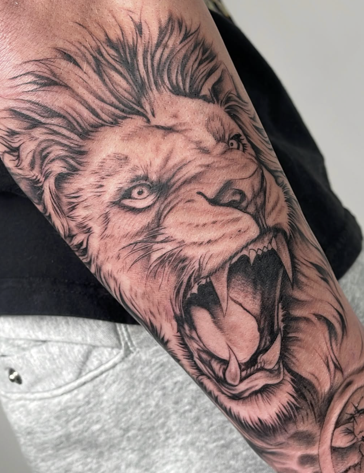 Screenshot 2026-03-03 at 6.13.48 PM.png