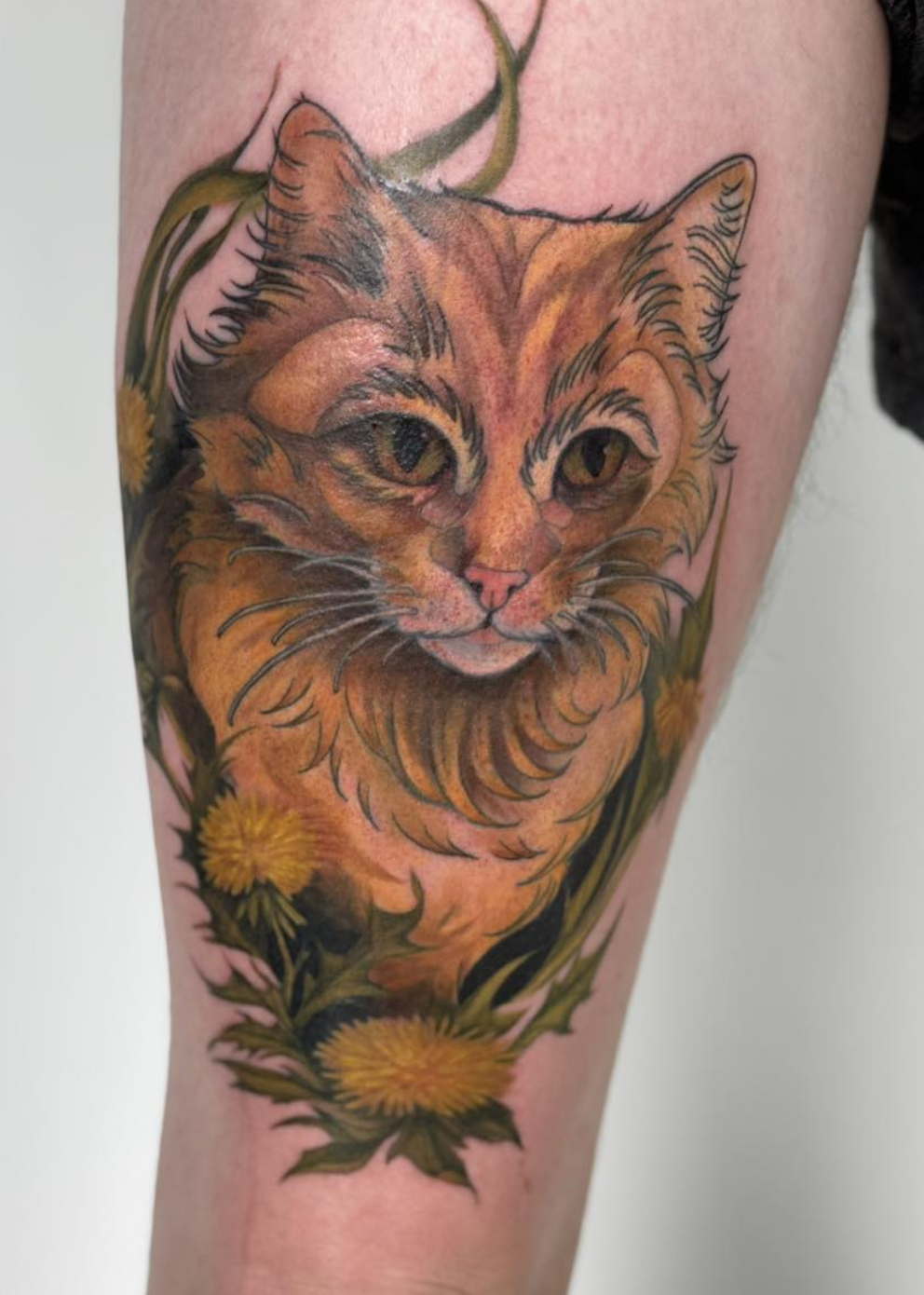 Screenshot 2026-03-03 at 6.05.50 PM.png