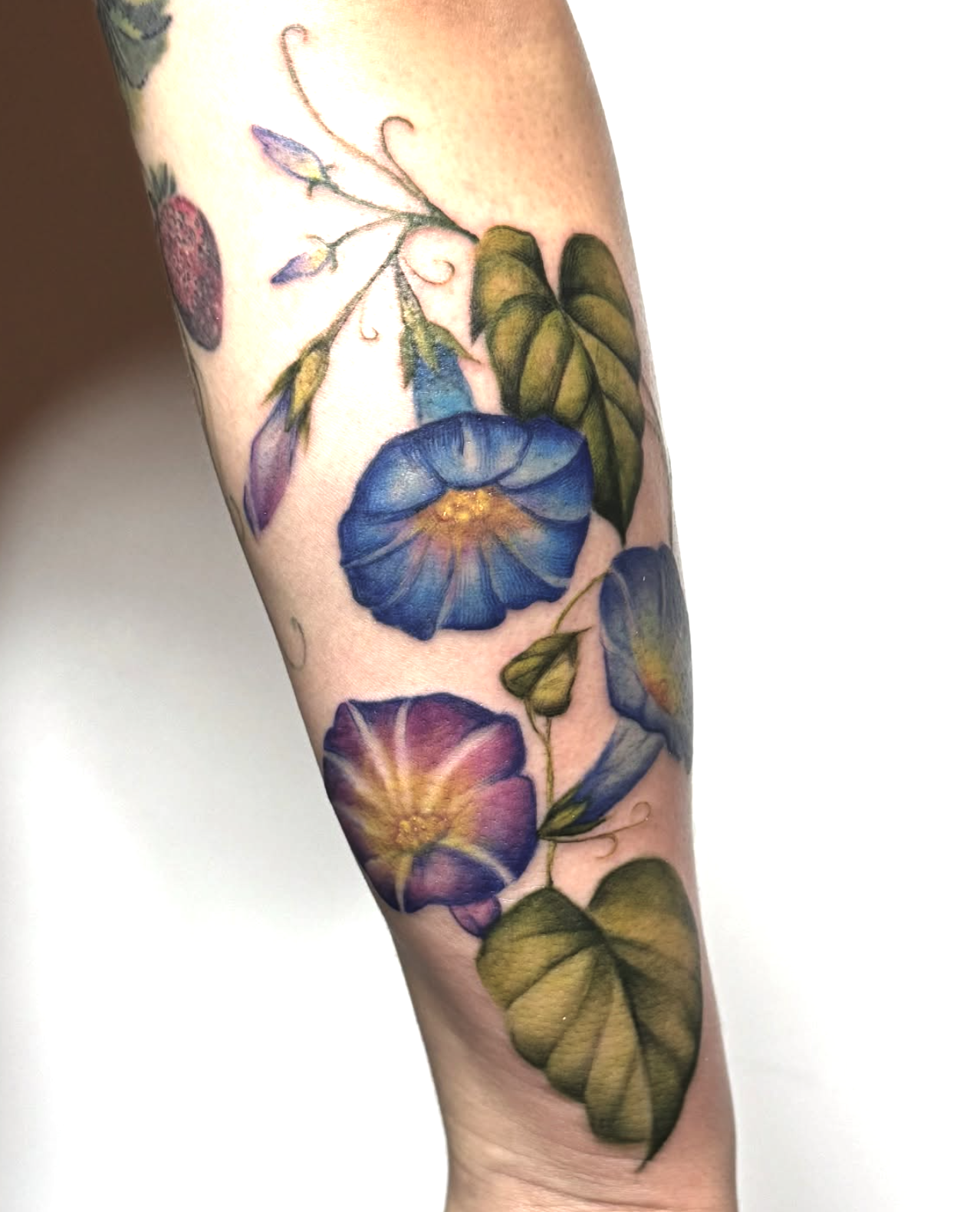 Screenshot 2026-03-03 at 6.09.14 PM.png