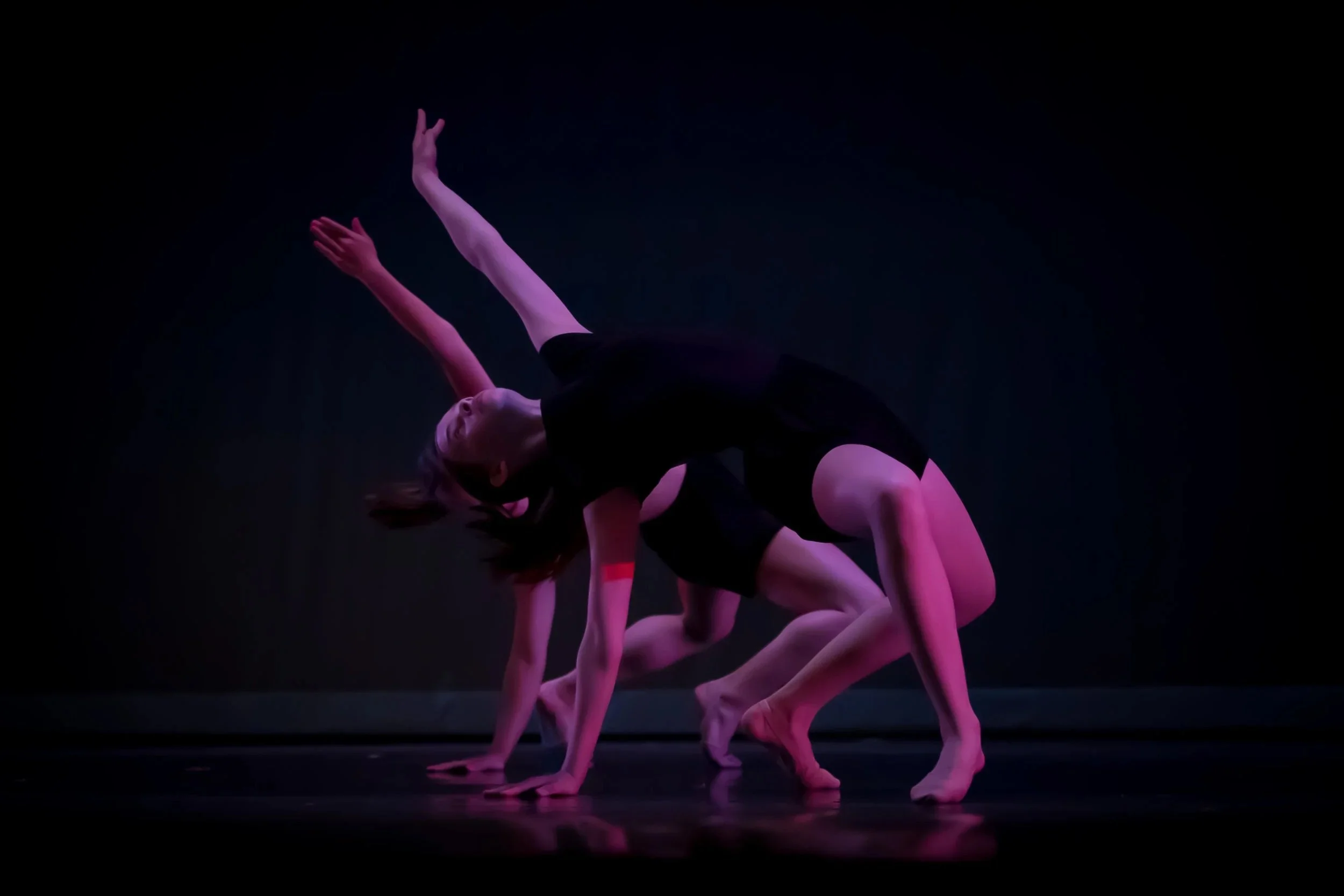 2019-08-03_WW_Dance_2019_LG-35-(ZF-4459-30848-2-015).jpeg