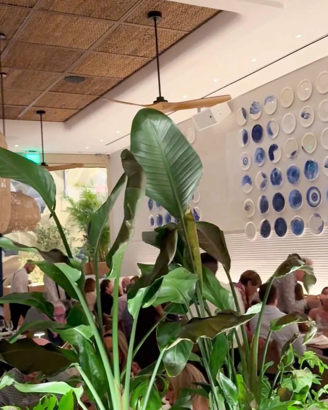 Kyma West Palm Beach Chick Interior