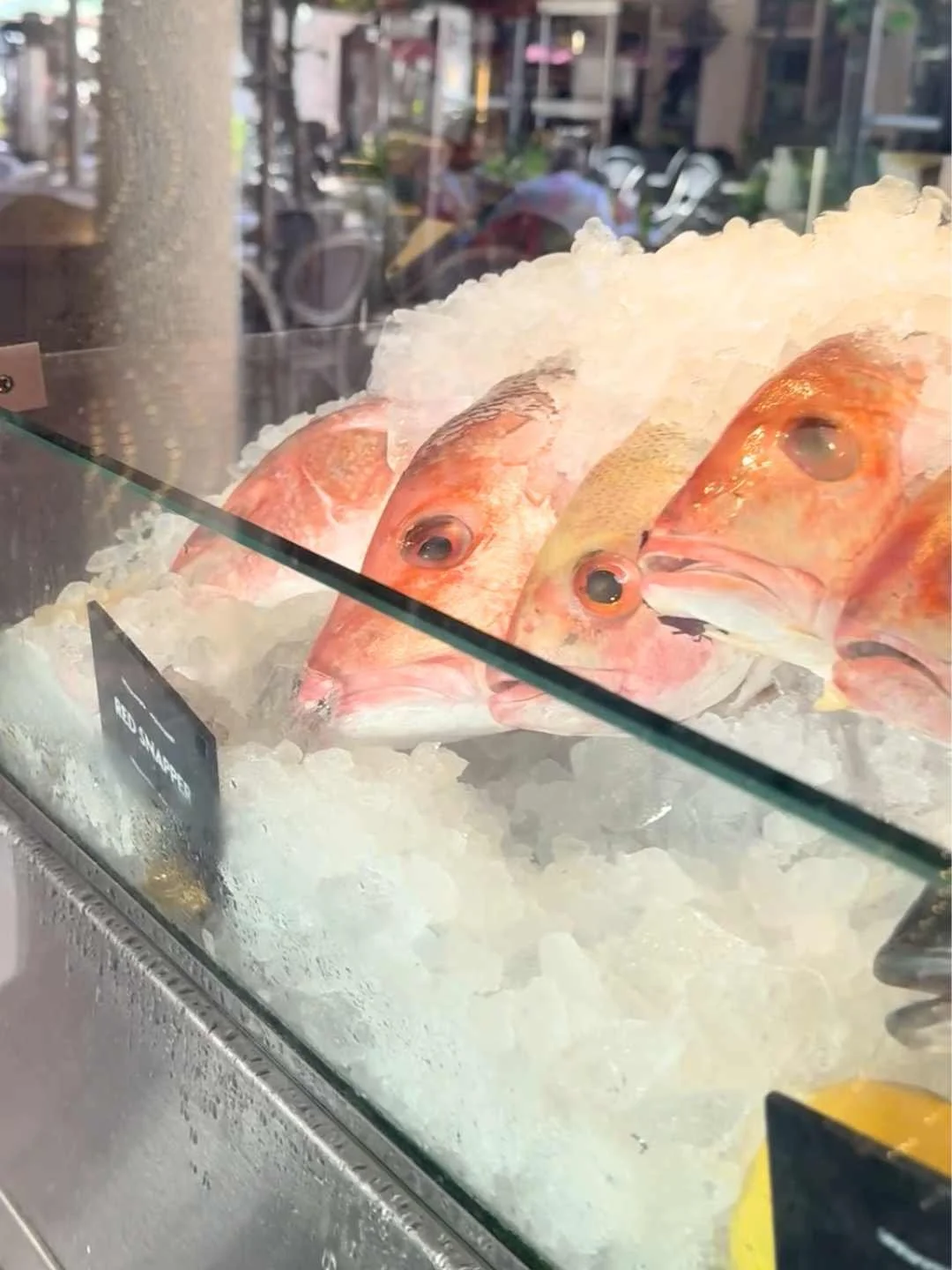 Mercato della Pescheria, Miami