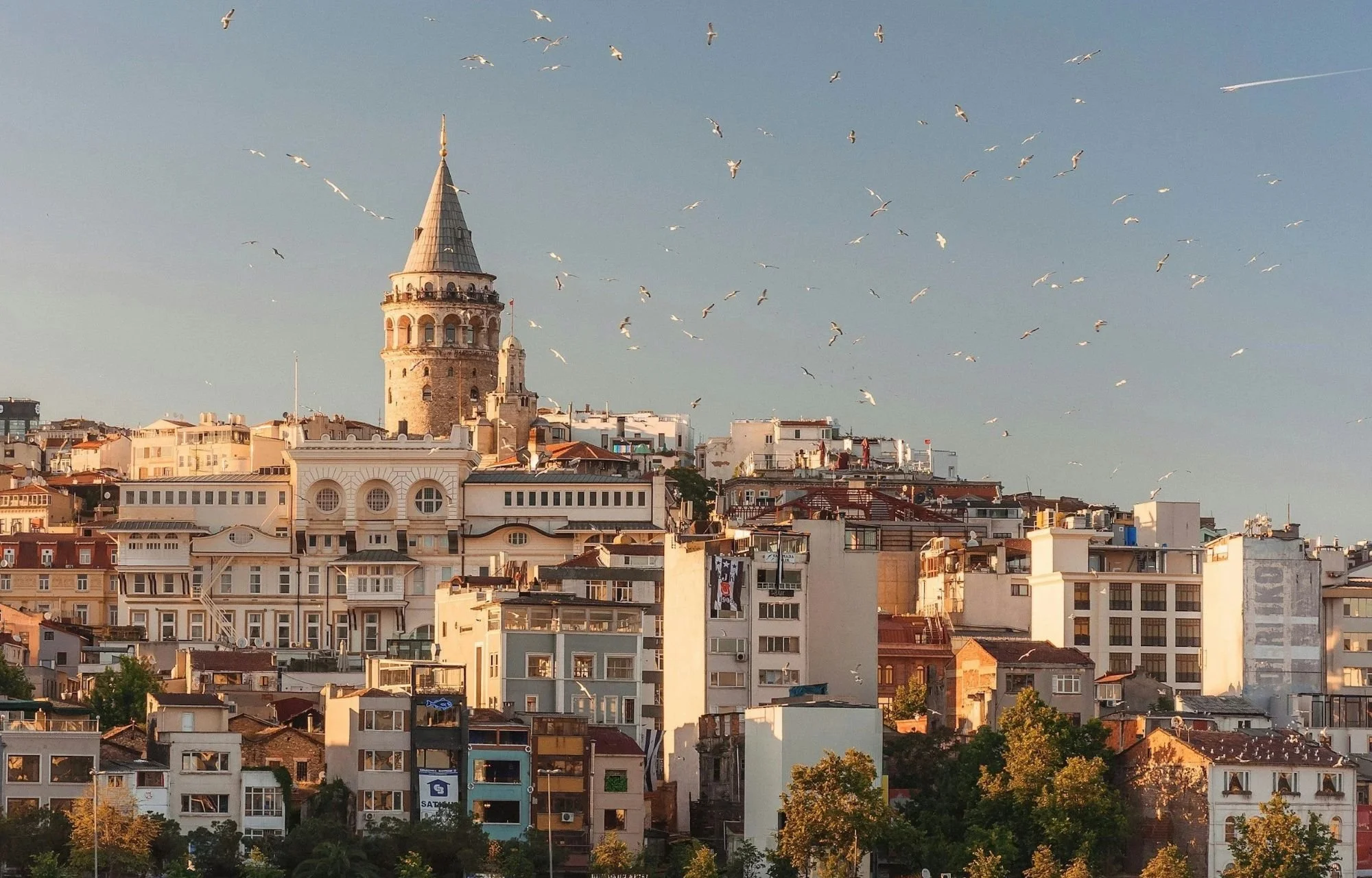 Your Culinary Passport to Turkey