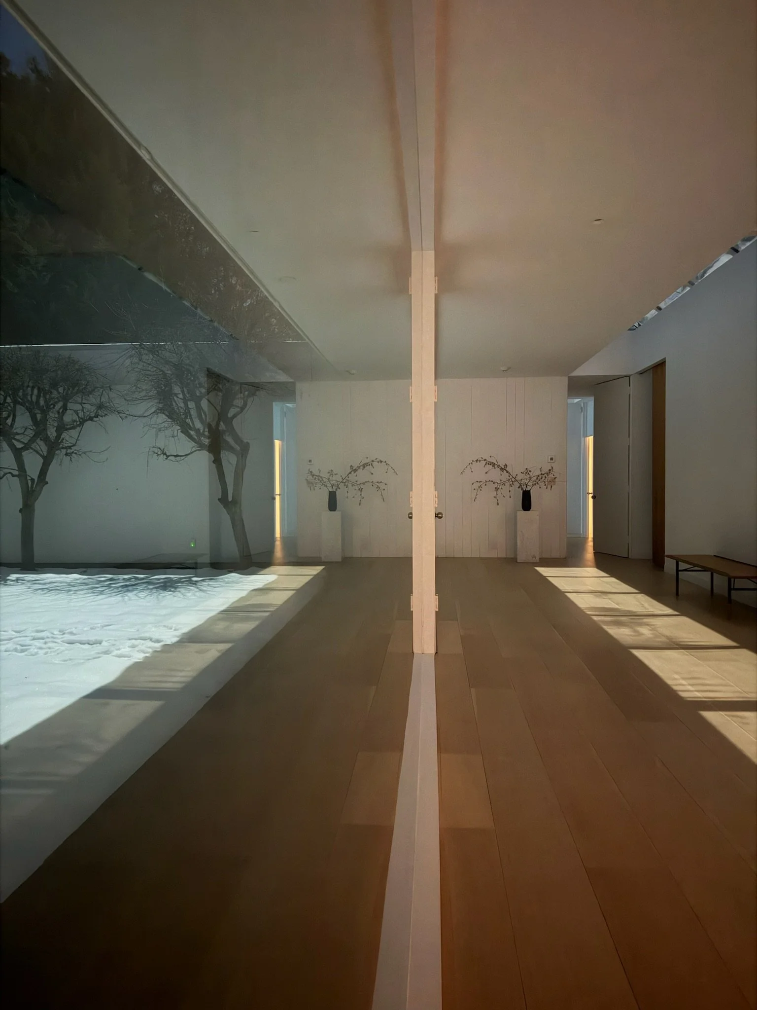 A symmetrical interior room with wooden flooring, decorated with two vases of dried branches on white pedestals, natural light coming through windows, and shadow play on the walls.
