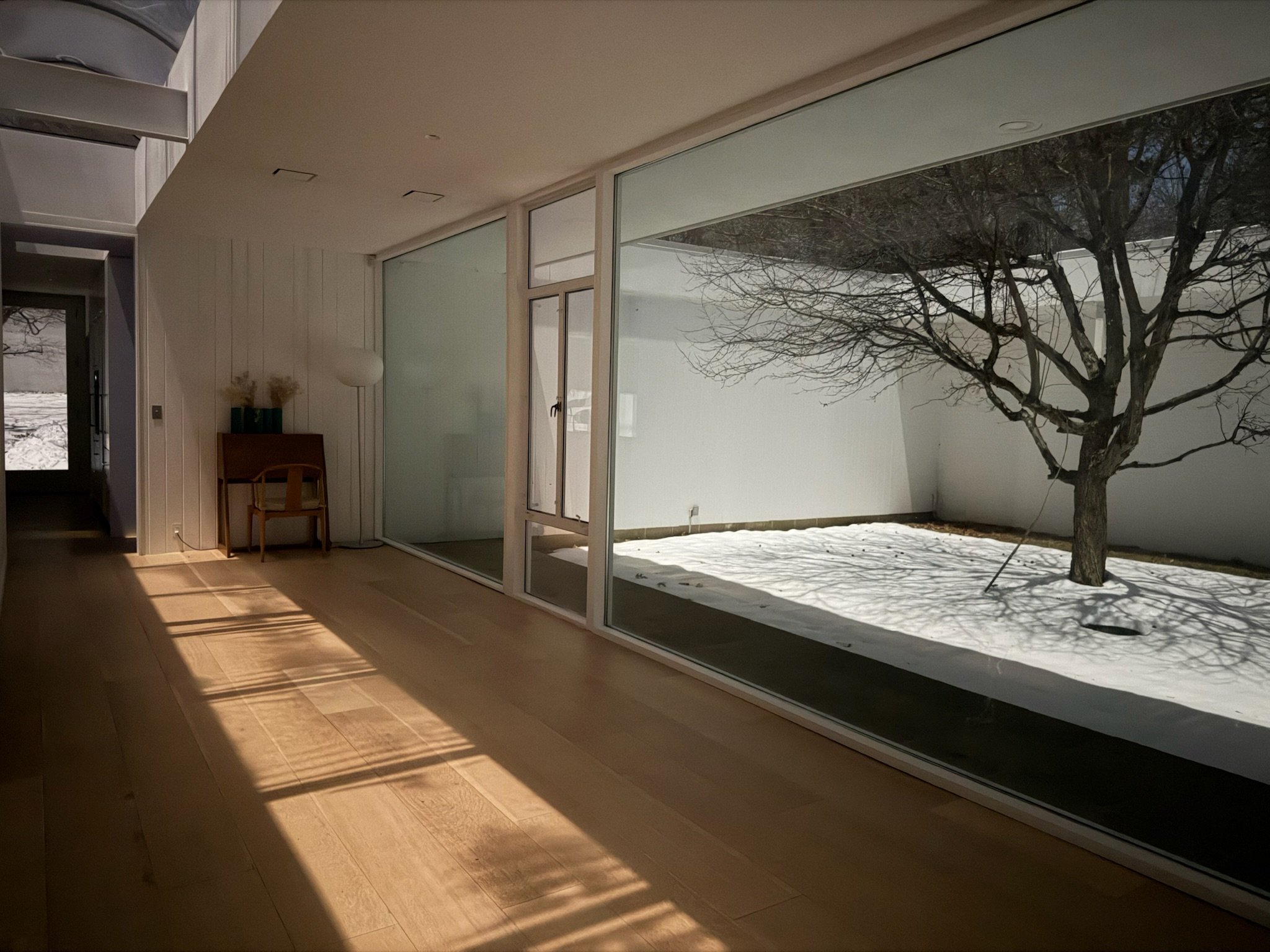 Interior view of a modern room with large glass windows looking out to a snow-covered yard with a tree, sunlight casting shadows on the wooden floor, minimalistic furniture including a small chair and a floor lamp.