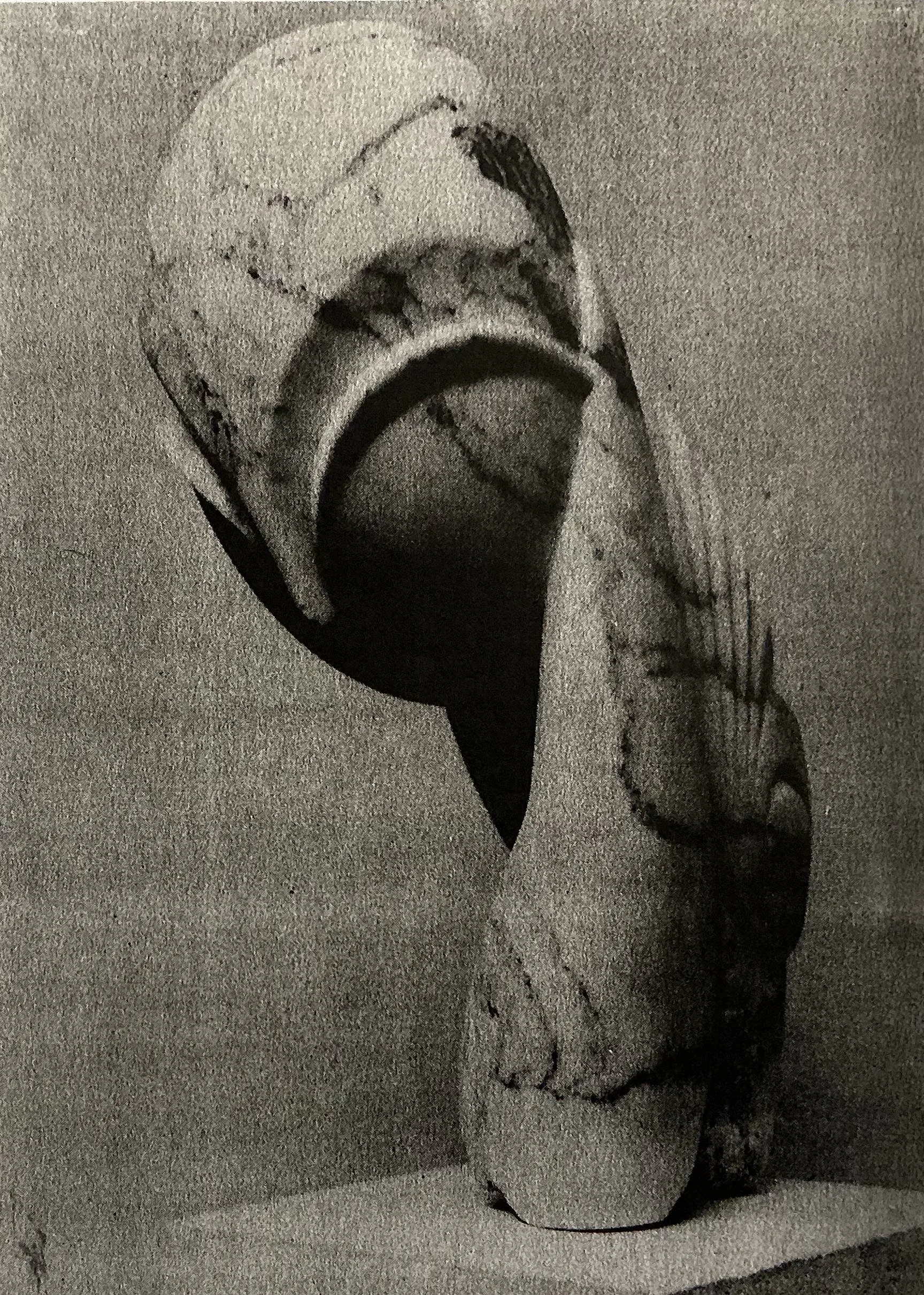63. Brancusi