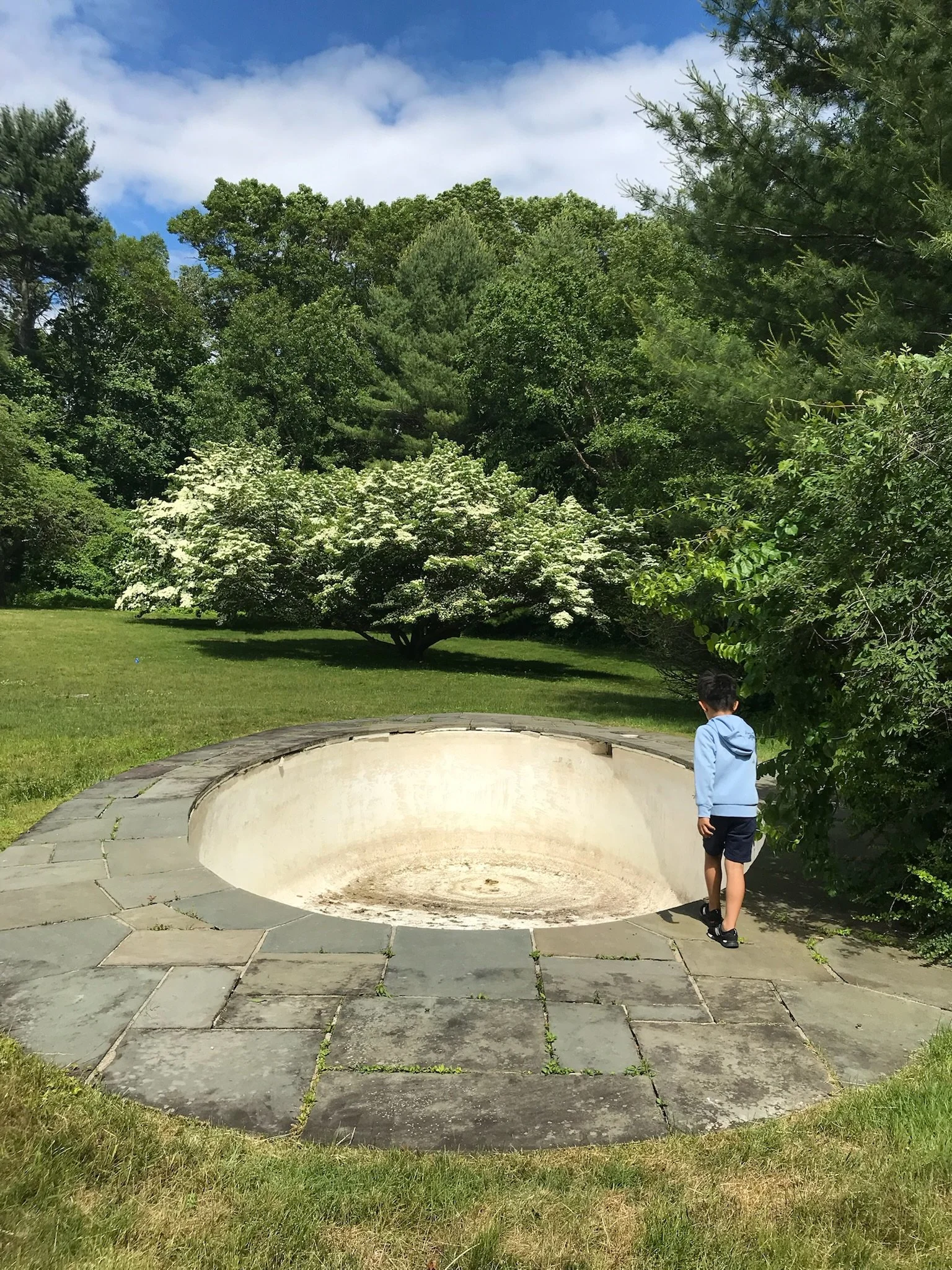 A young boy in a blue hoodie and shorts stands beside an empty, circular, stone-lined structure in a grassy park with green trees and a cloudy sky in the background.