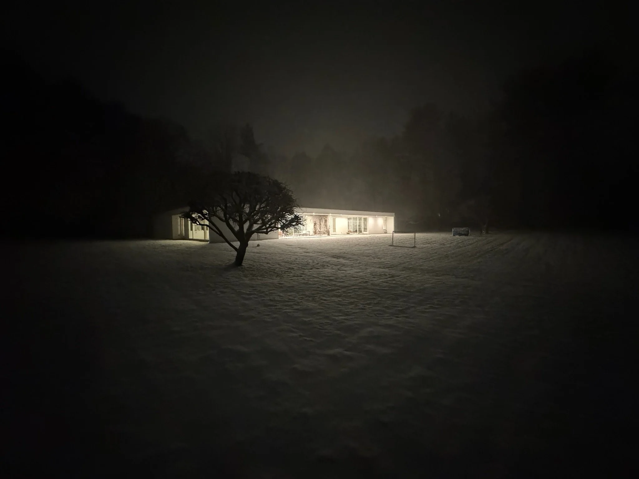A house illuminated at night with snow-covered ground, a tree in the foreground, and dark trees in the background.