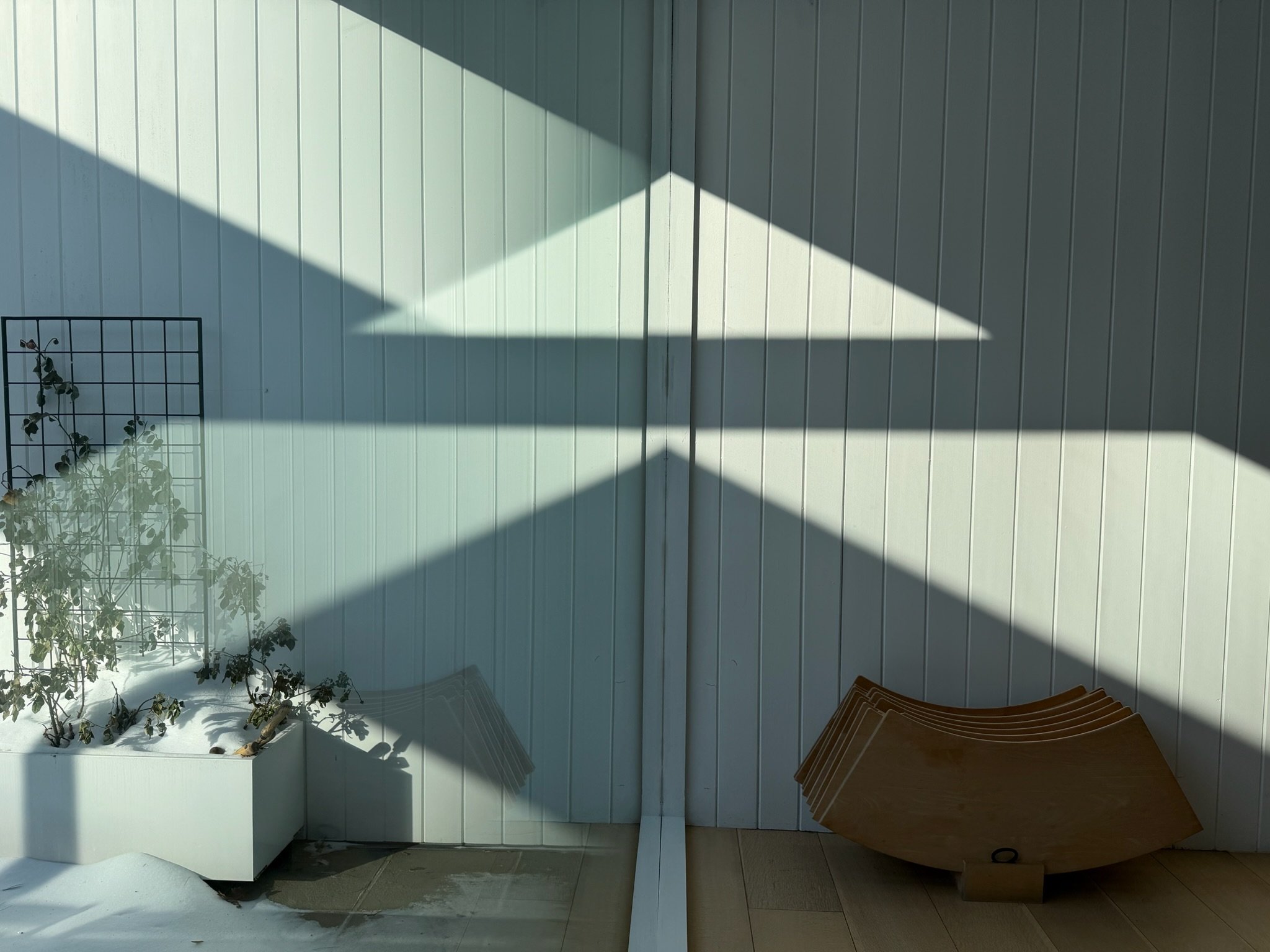 Sunlight casting shadows on a vertical white wooden wall, with a plant in a white planter and a stack of brown plates on the floor.