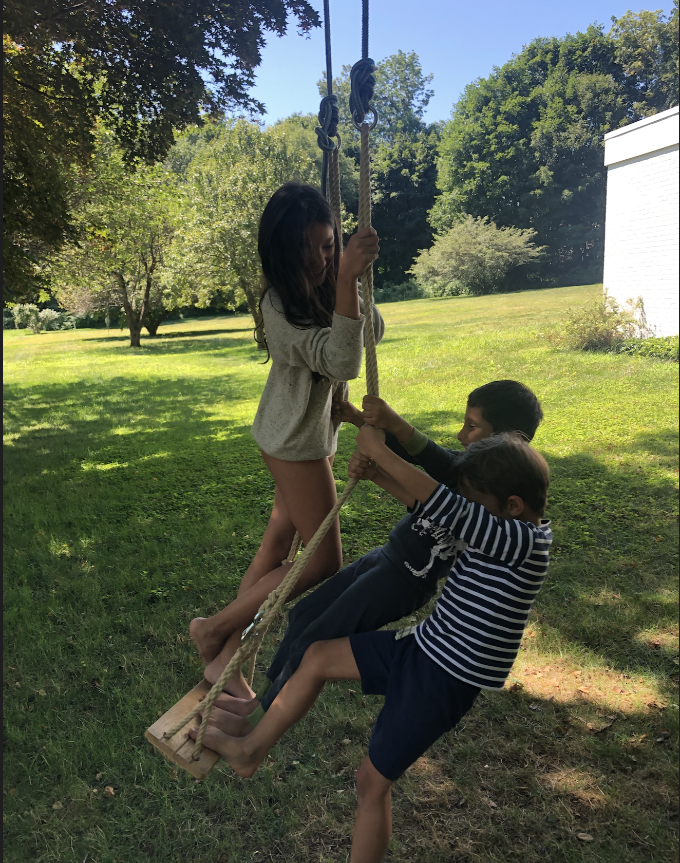 Three children playing on a wooden swing hanging from a tree in a backyard on a sunny day.