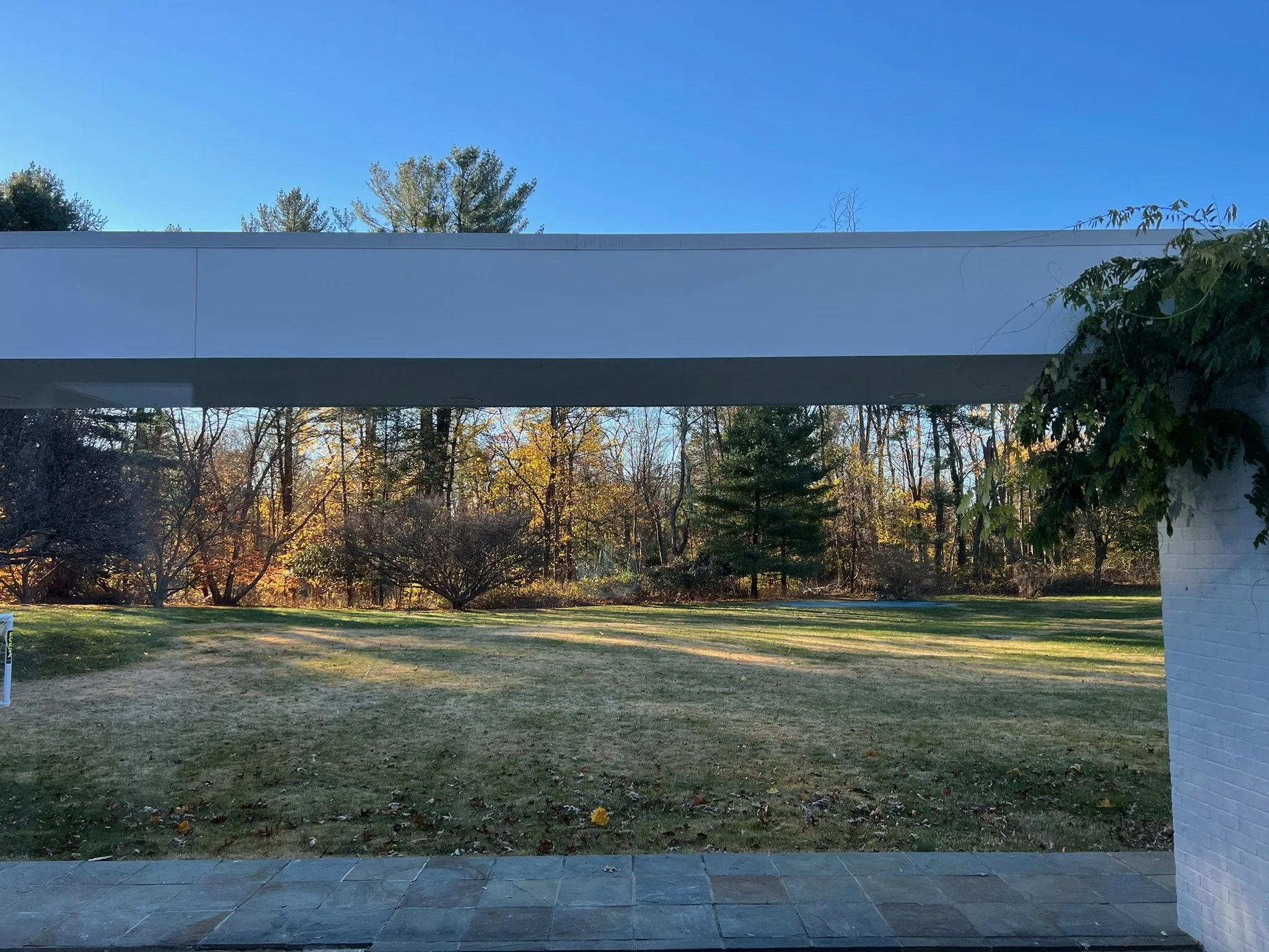 View of a backyard with a grassy lawn, trees with fall foliage, and a blue sky, seen from beneath a modern overhang or porch.