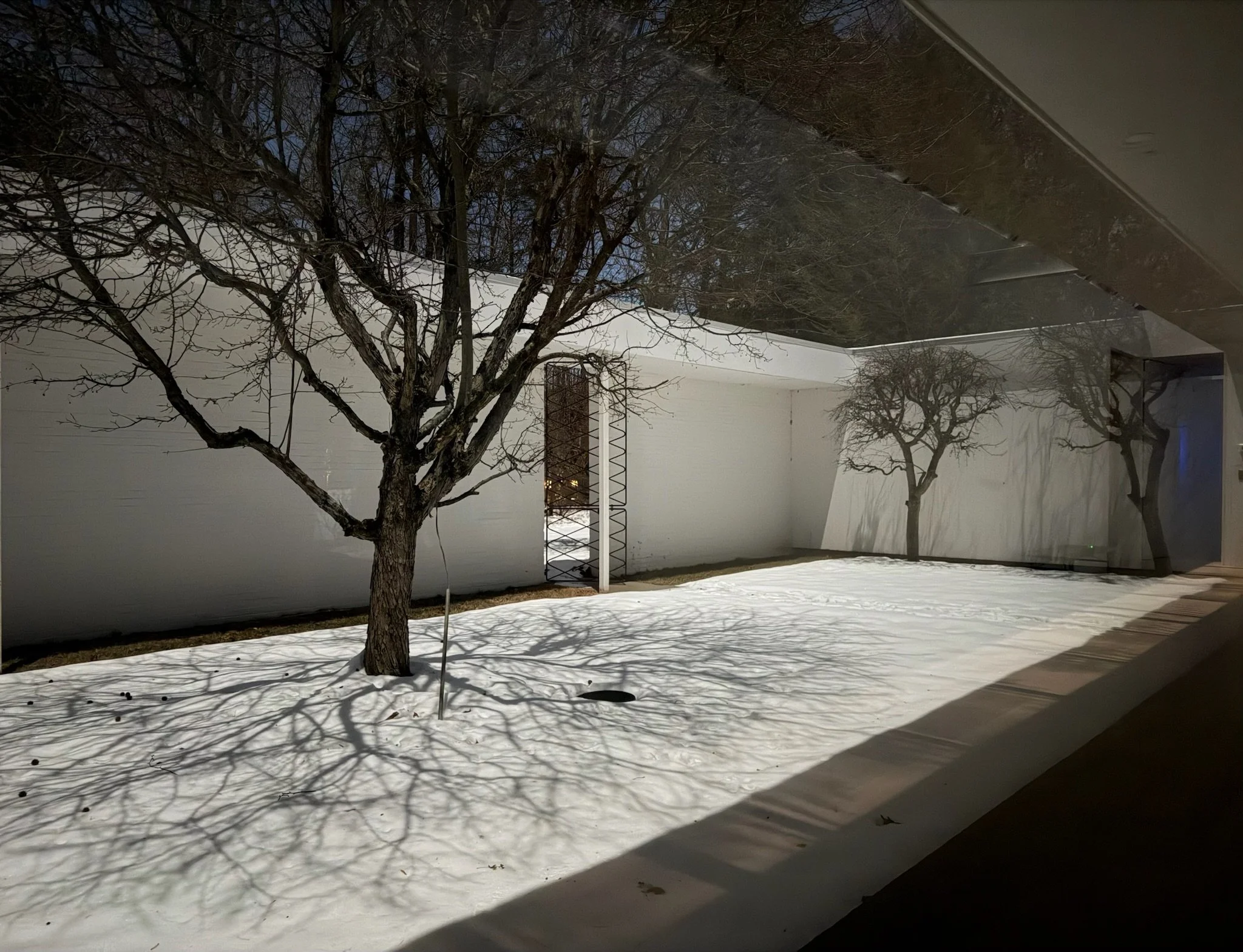 Nighttime view of a snow-covered yard with two leafless trees casting shadows on the snow, a white wall in the background, and a building with a reflective window to the right.