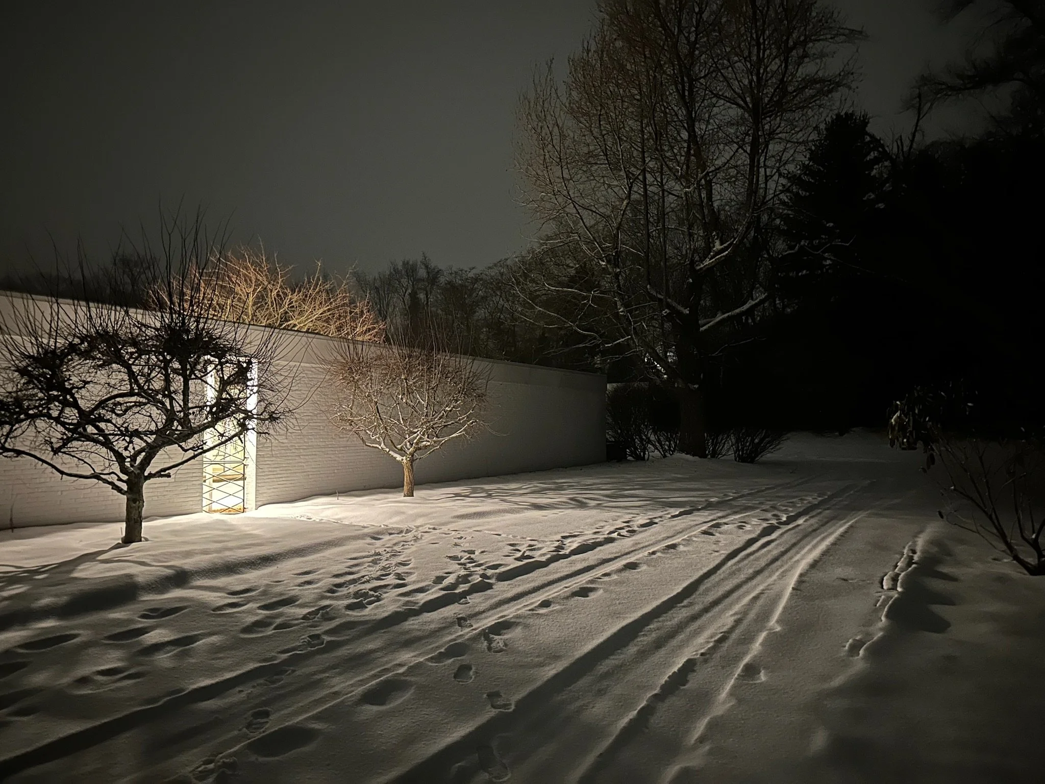 Snow-covered backyard at night with trees, footprints, and tire tracks illuminated by outside lighting.