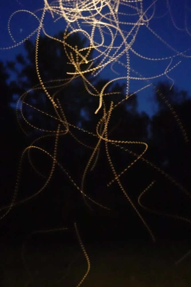 Close-up of a spider web with strands reflecting light against a dark, blue background with some blurred trees or foliage.