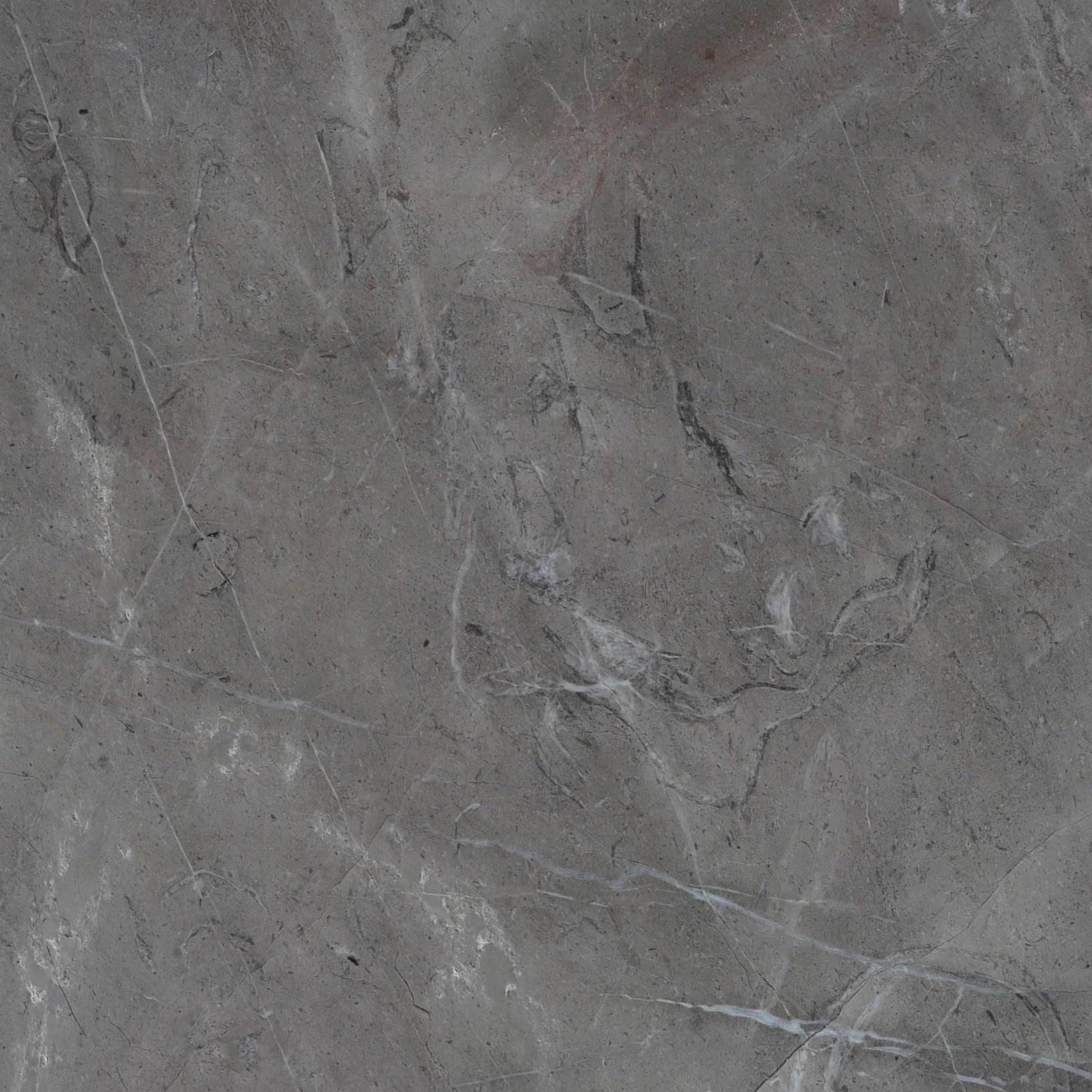 Superficie de piedra de color gris con vetas blancas y detalles oscuros.