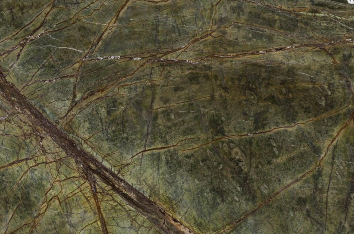 Vista en primer plano de una hoja de árbol con venas visibles y detalles de la textura.