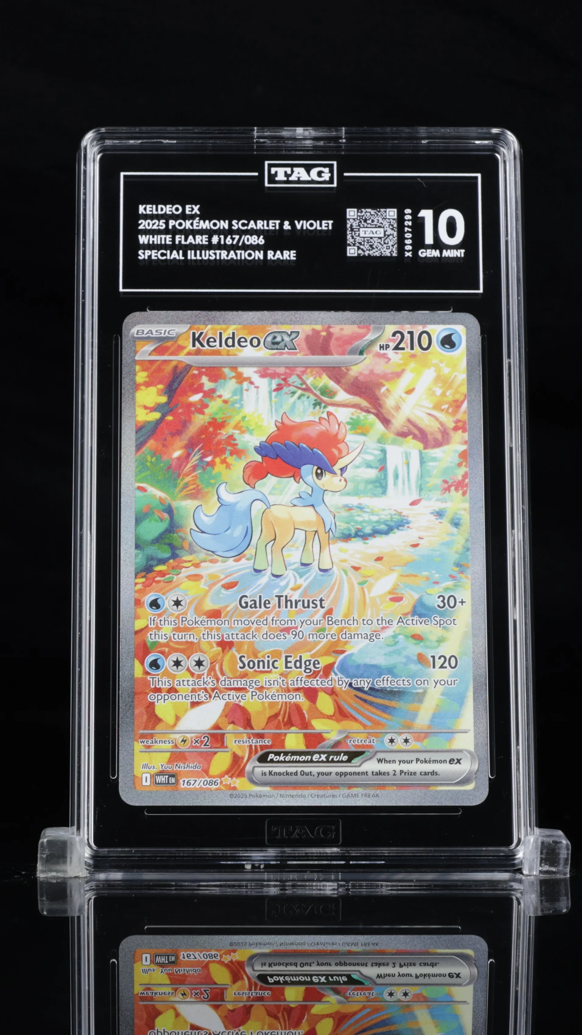 Keldeo ex - TAG 10