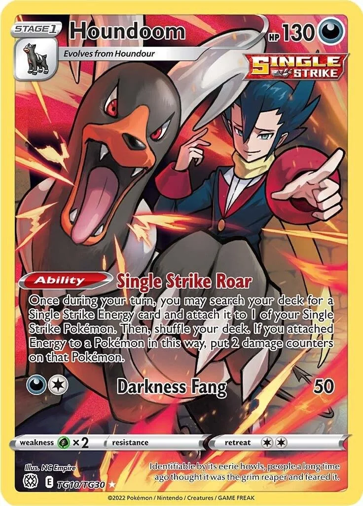 Houndoom #TG10 Pokemon Brilliant Stars NM