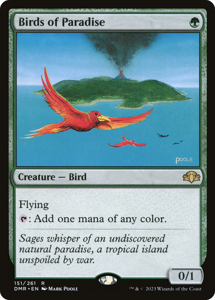dmr-151-birds-of-paradise.png