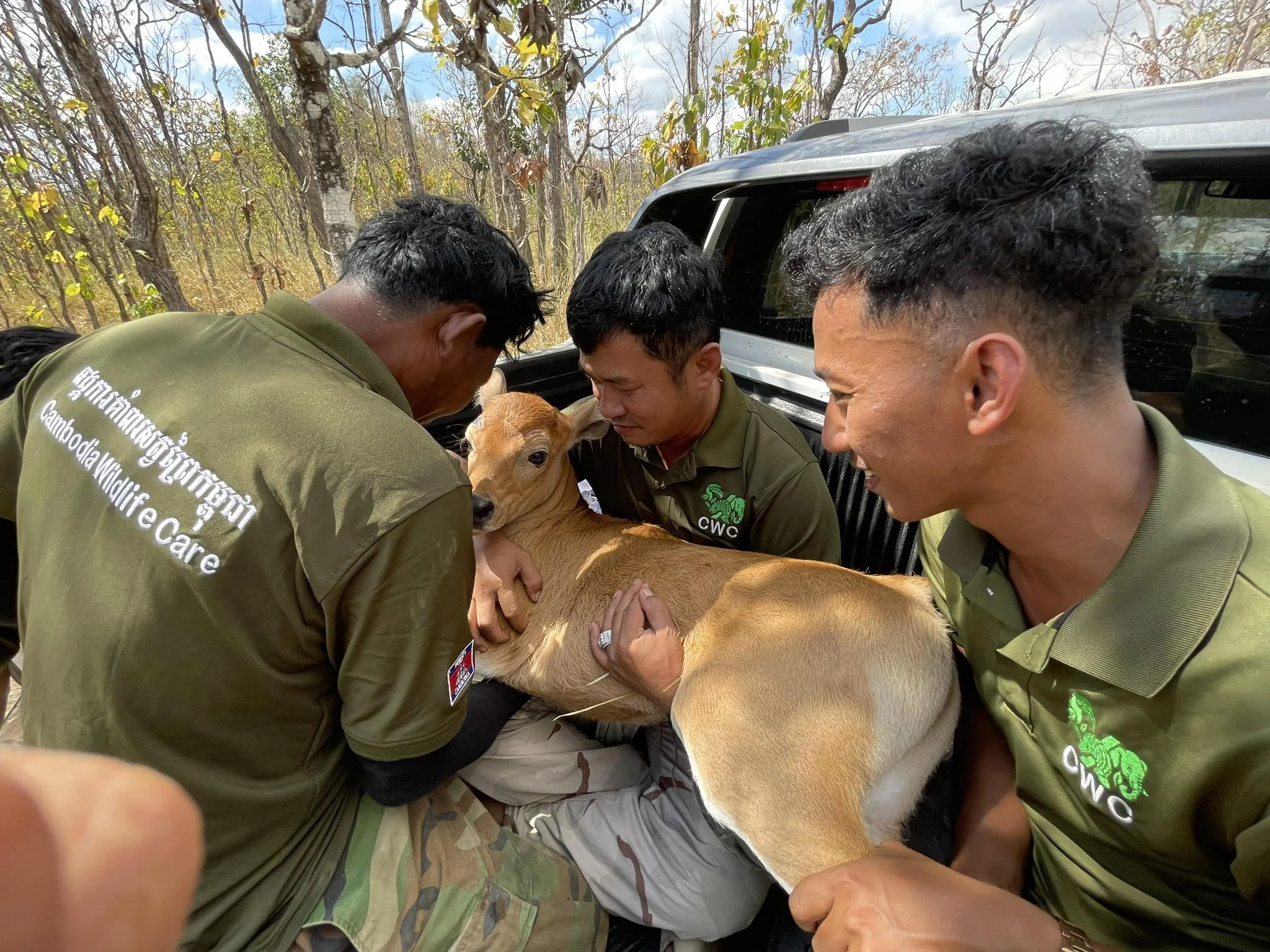 Three wildlife care workers in green uniforms rescuing a small brown puppy, lifting it into a vehicle in a wooded area.