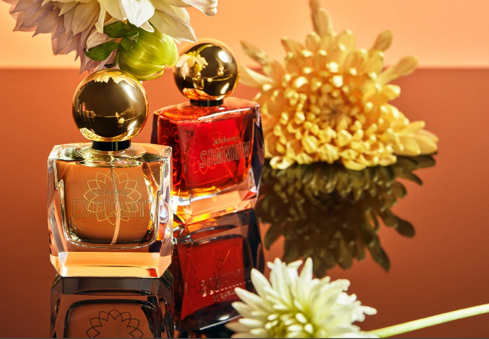 Excitante &amp; Sominium