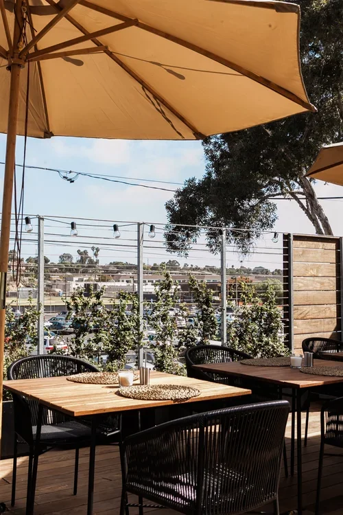 IMG_6837.webp (Copy)