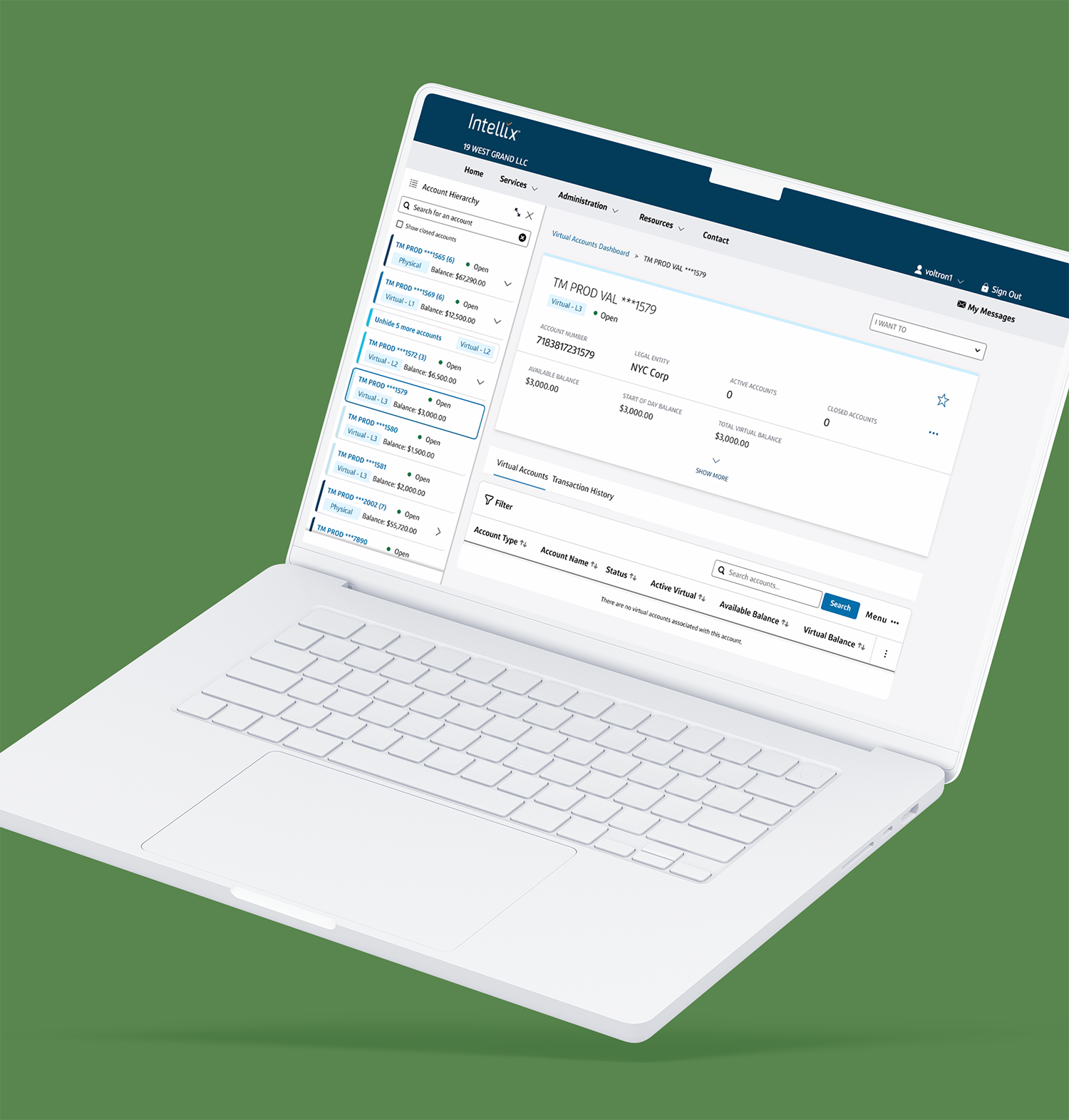 Virtual Account Management