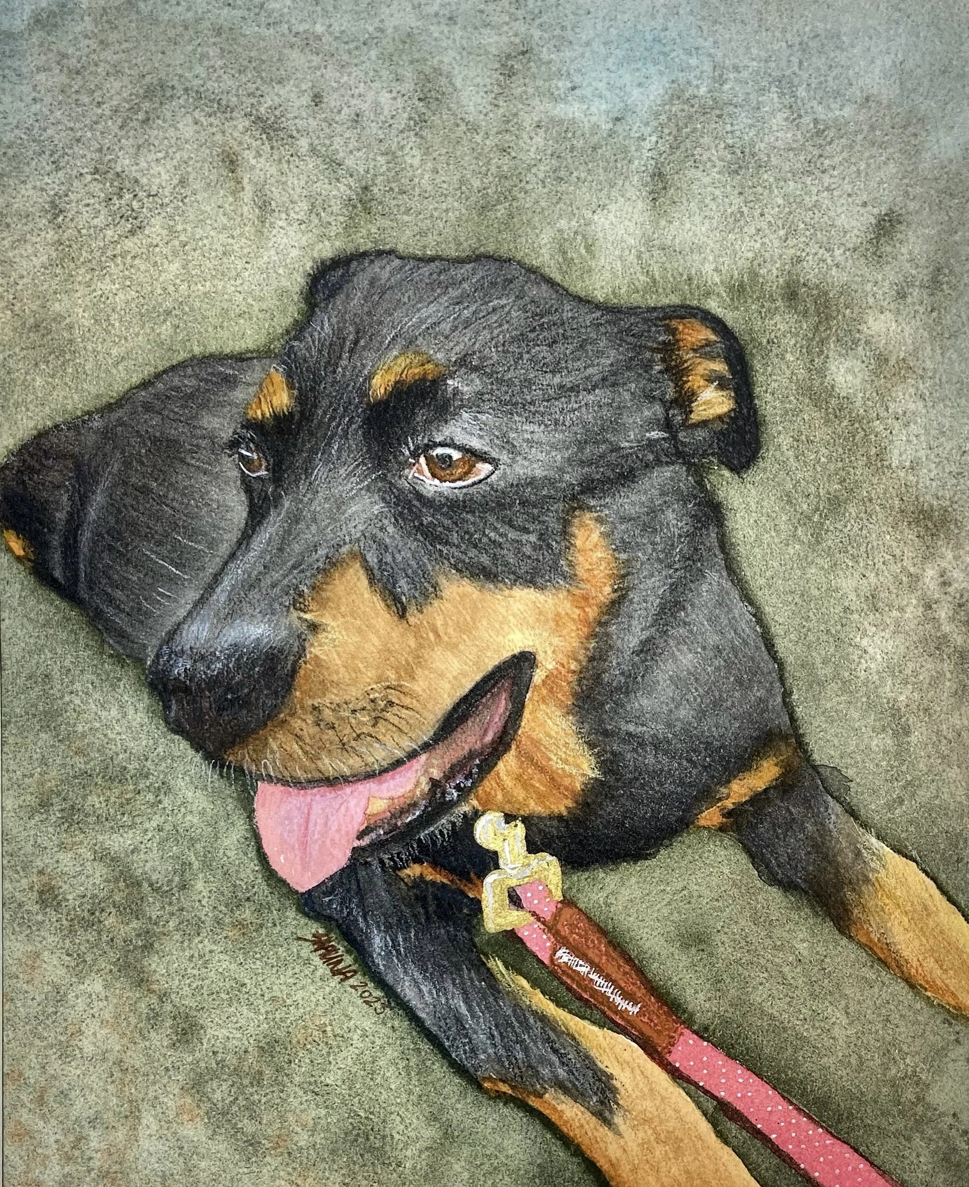 Colorful drawing of a black and brown dog with a pink tongue on a green background, wearing a pink collar with a gold tag.