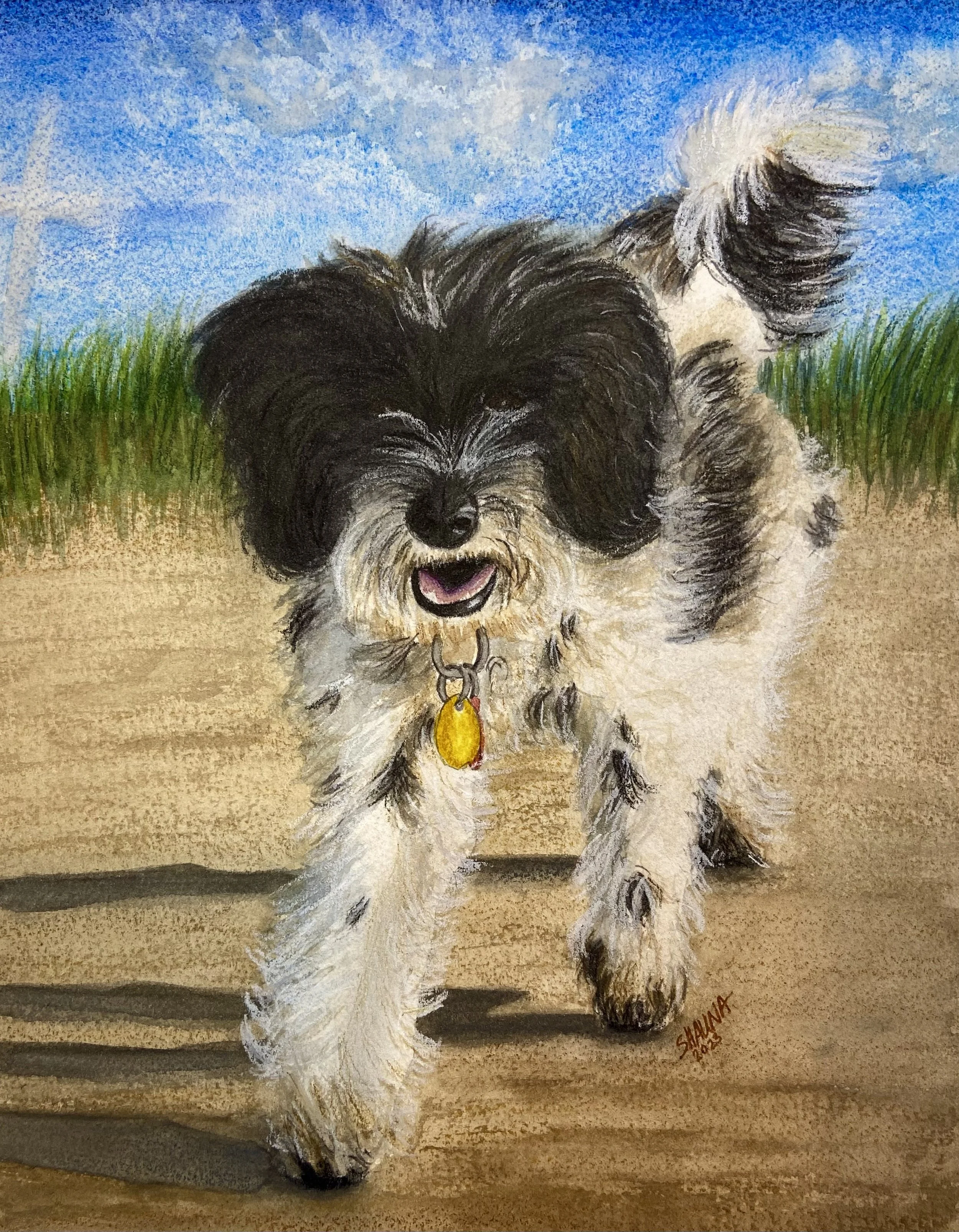 A drawing of a happy black and white dog running on a sandy path, with grass and blue sky in the background.