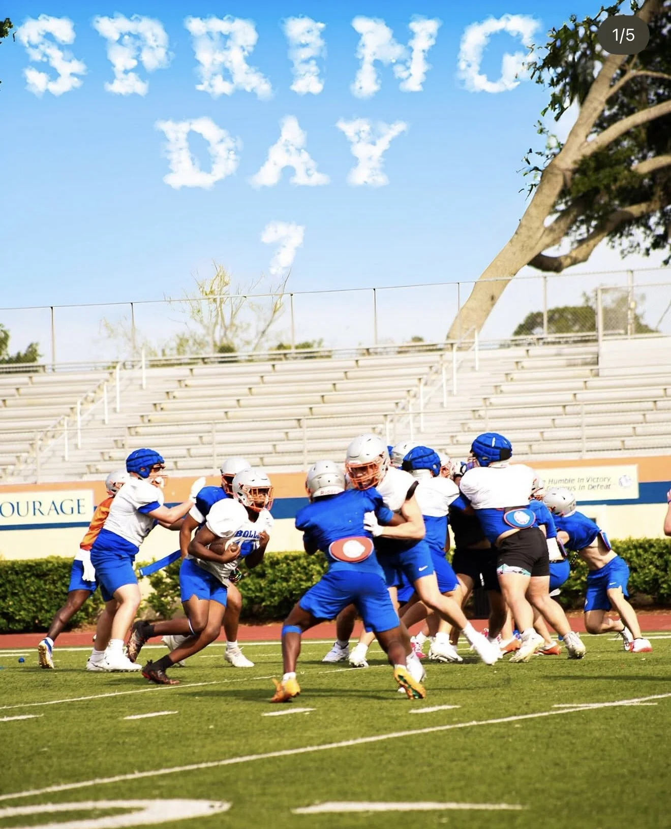 Socially Sparked | Portfolio