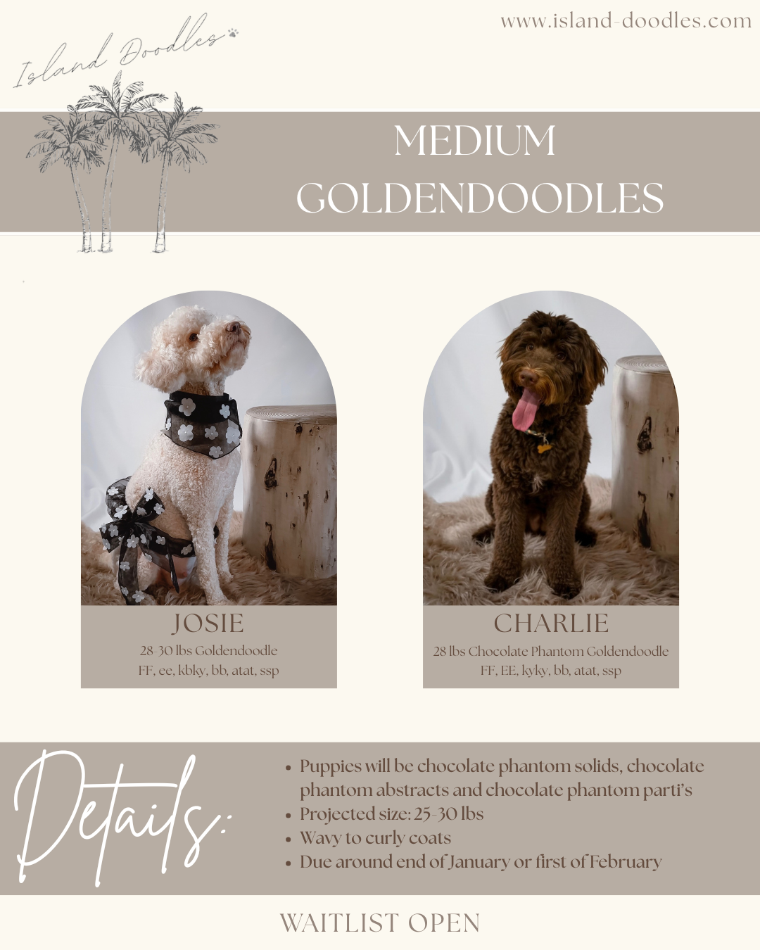 Socially Sparked | Portfolio