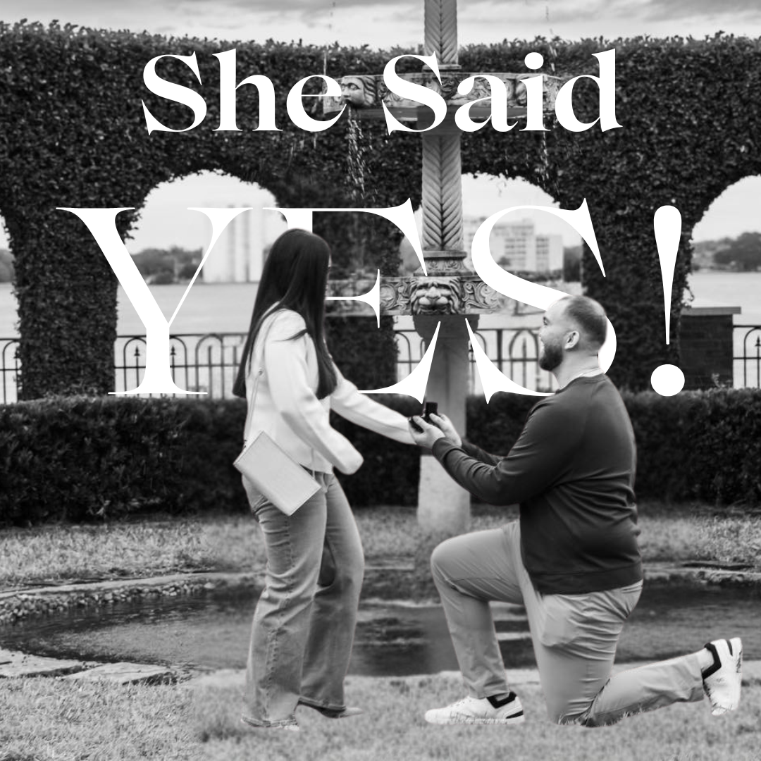 Socially Sparked | Portfolio