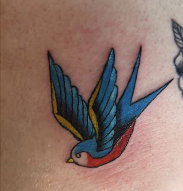 Traditional swallow tattoo in color