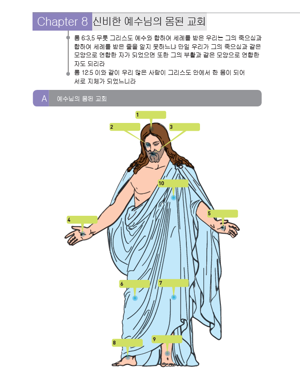 제8과: 신비한 예수님의 몸된 교회