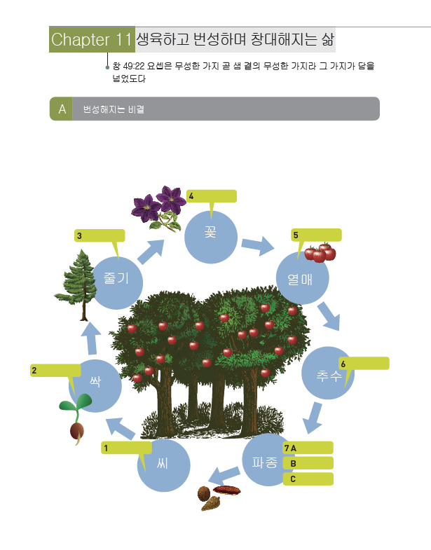 제11과: 생육하고 번성하고 창대해지는 삶