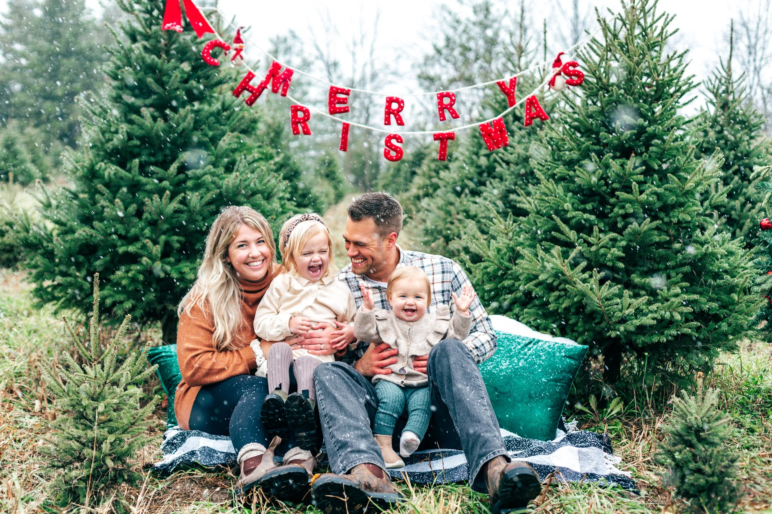 Stewart Family: Chickadee Christmas Tree Farm Mini