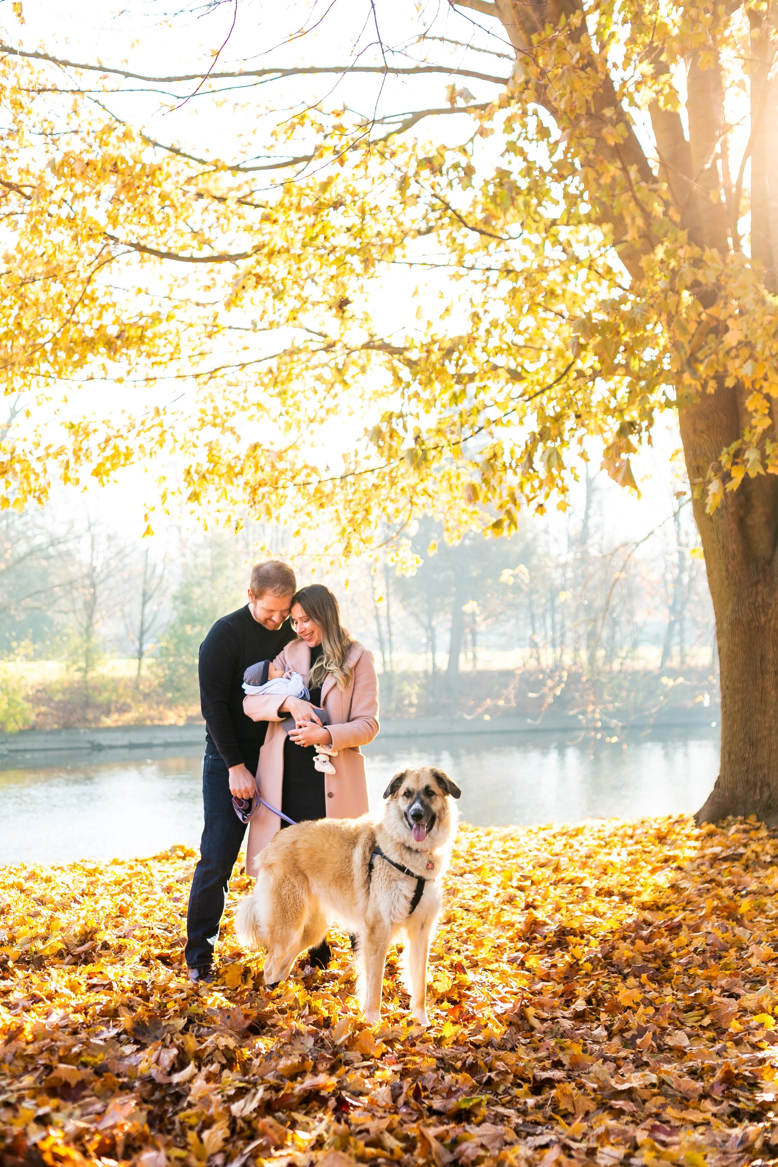 Family with a baby and dog standing in a park during fall, surrounded by fallen leaves and trees.