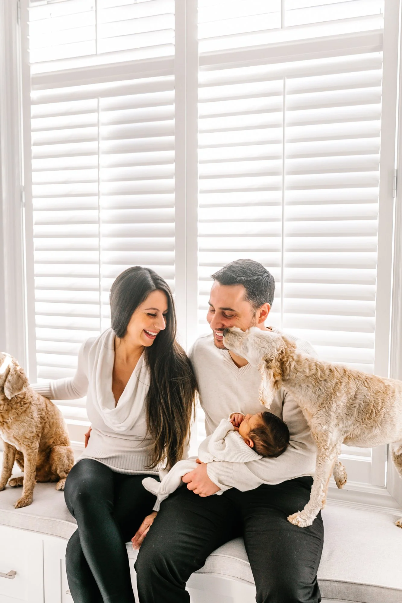 A couple sitting together with a baby and two dogs on a bench in front of window blinds.