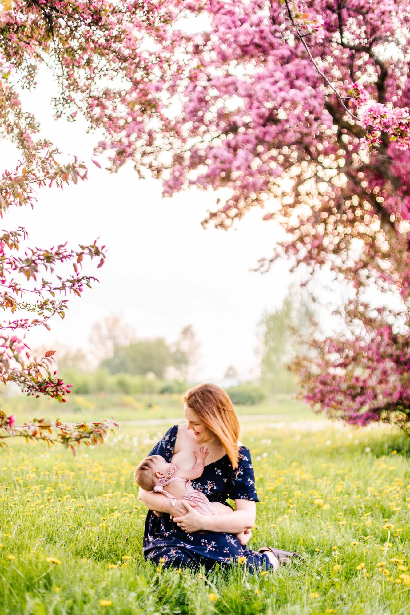 Woman breastfeeding a baby in a grassy field with pink flowering trees.