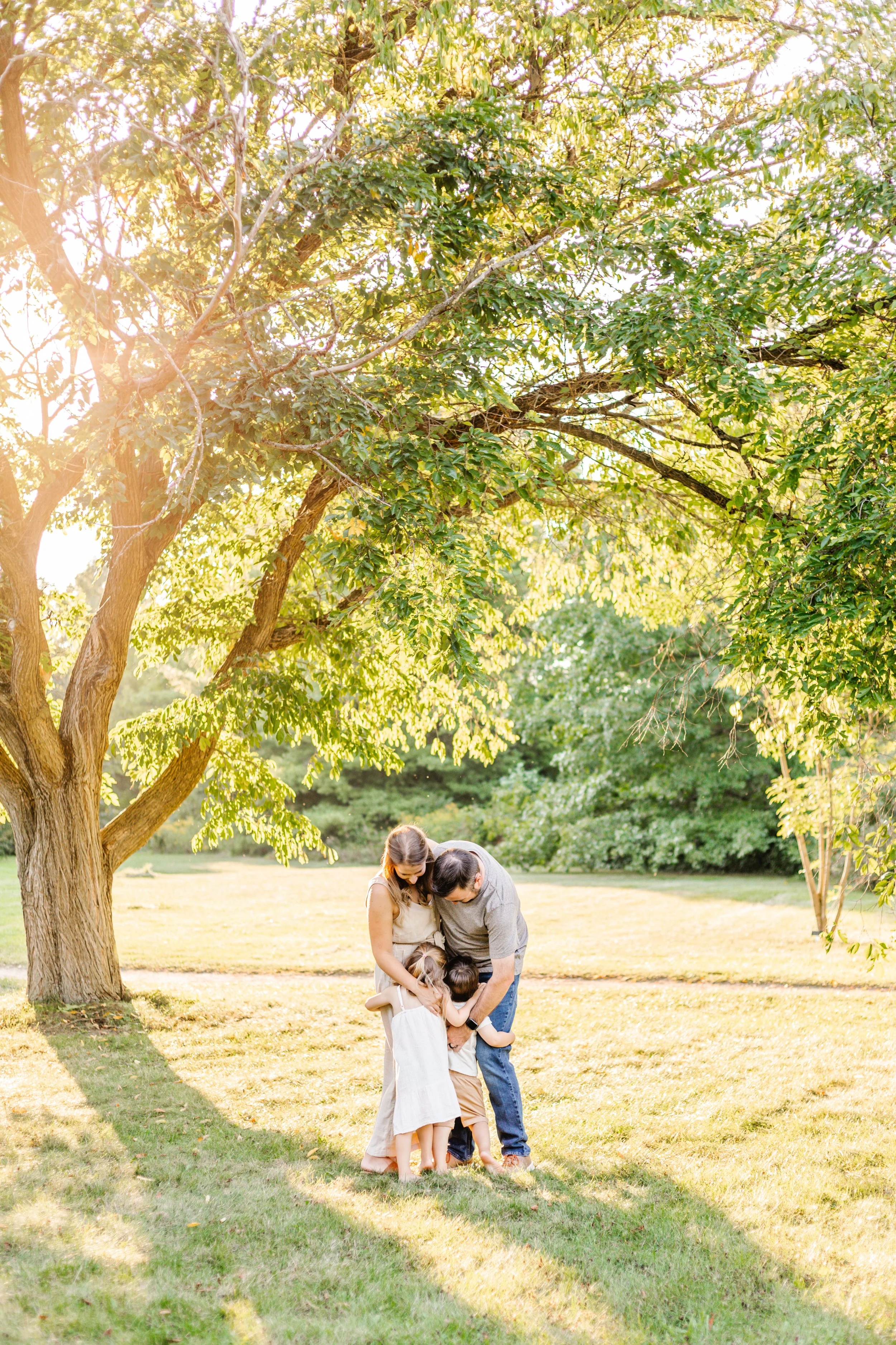 A family hugging under a tree in a sunlit park, with green grass and surrounding foliage.