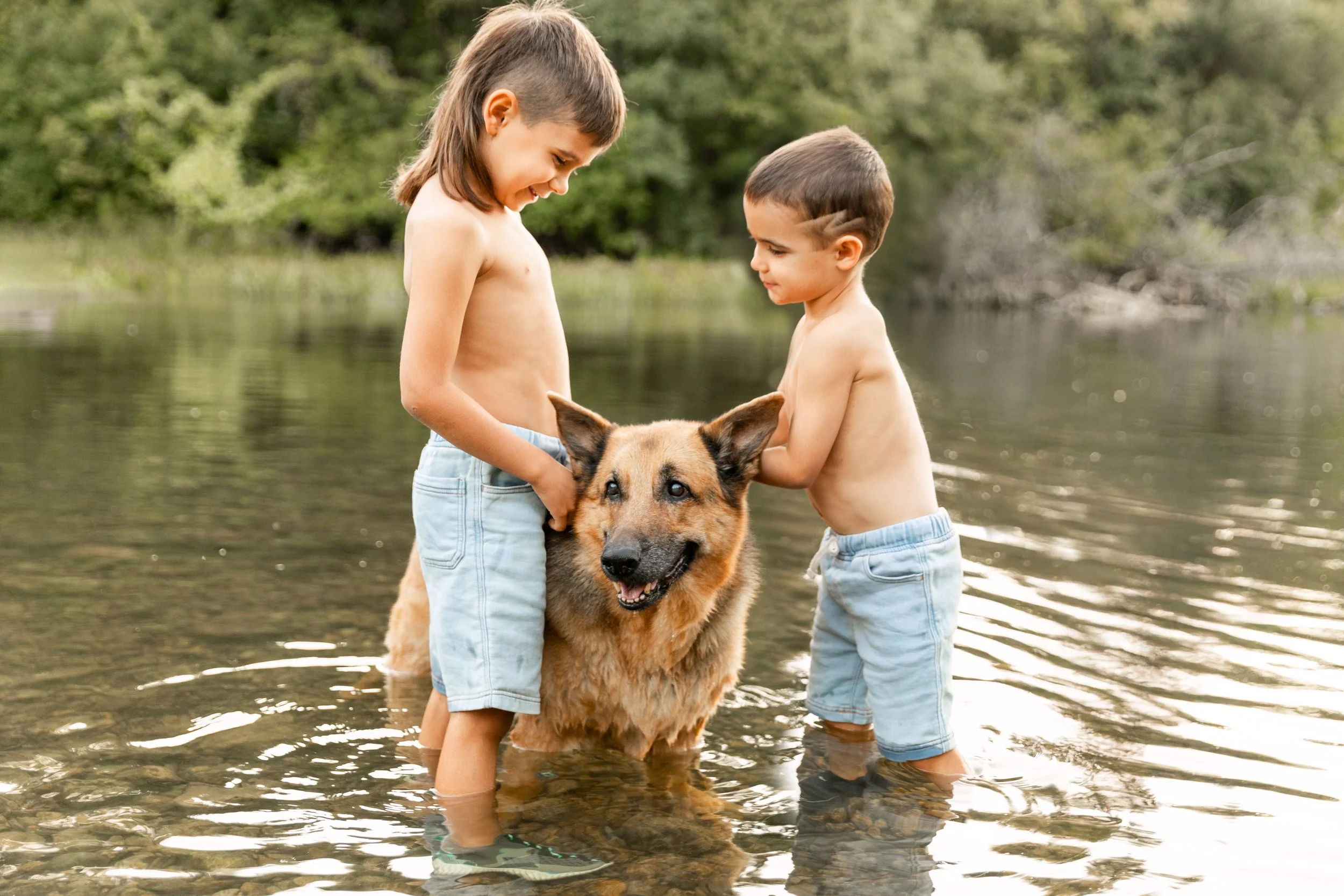 Two children playing with a German Shepherd dog in a shallow river outdoors.