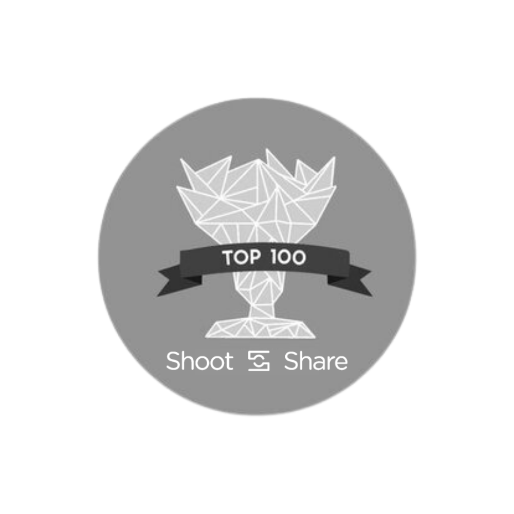 Geometric trophy icon with "Top 100" banner, Shoot & Share logo on gray background.