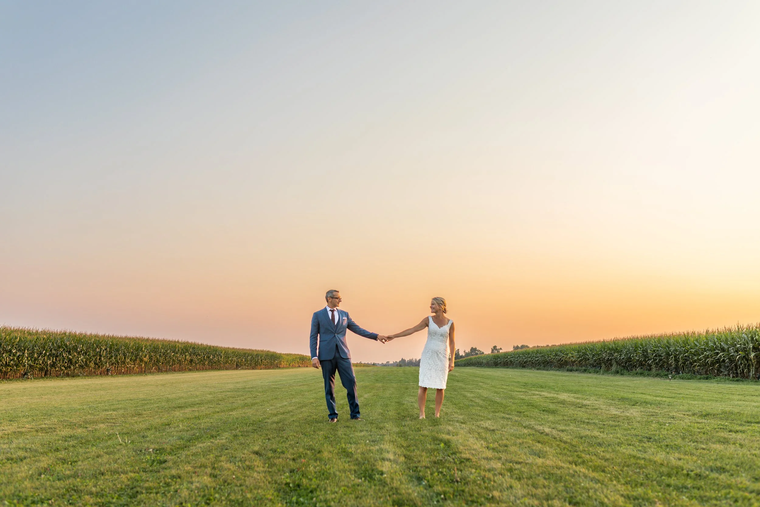 A couple holding hands in a field with a sunset sky and cornfields in the background.