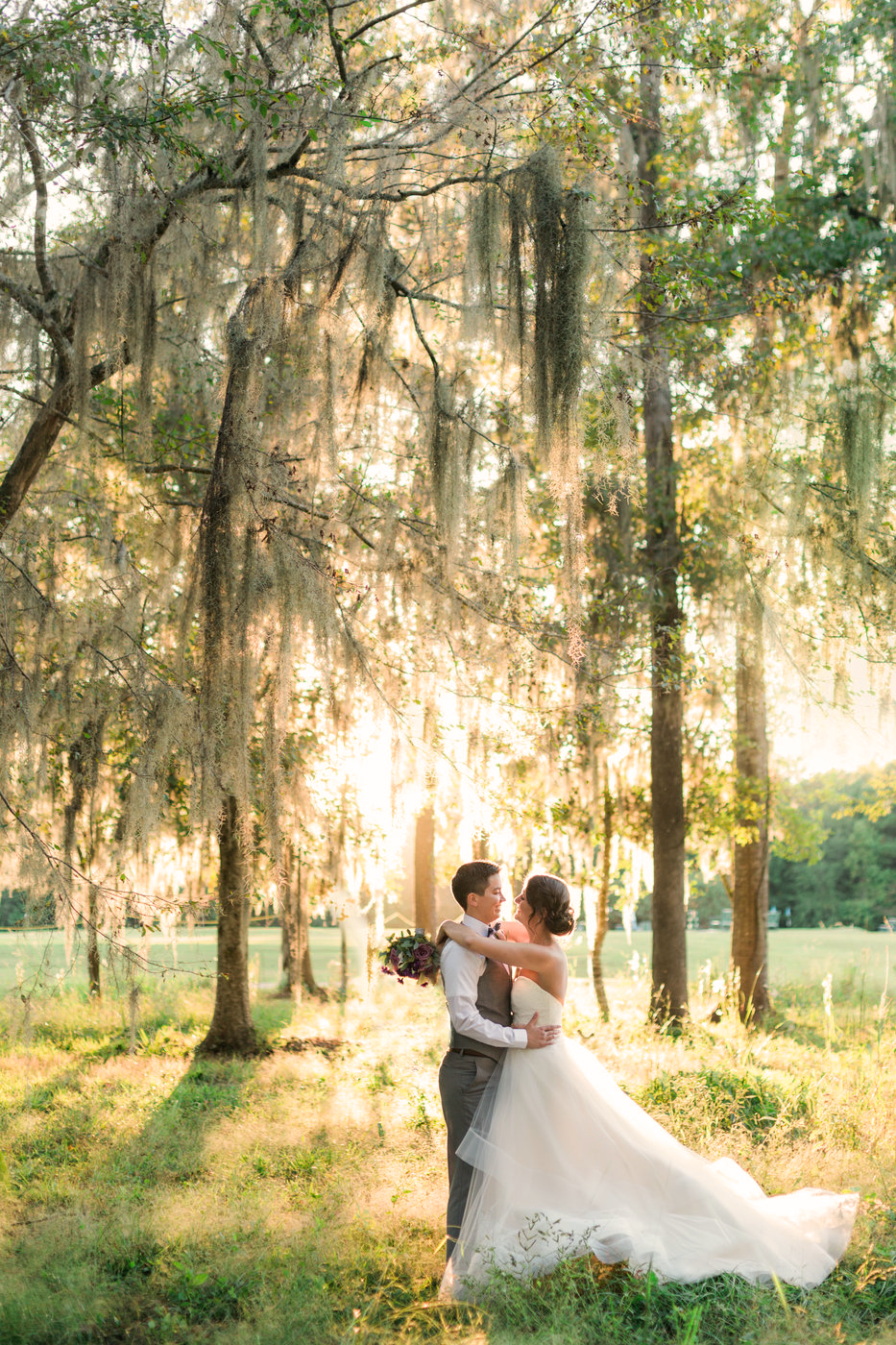 Bride and groom embracing in a sunlit forest with trees draped in Spanish moss.