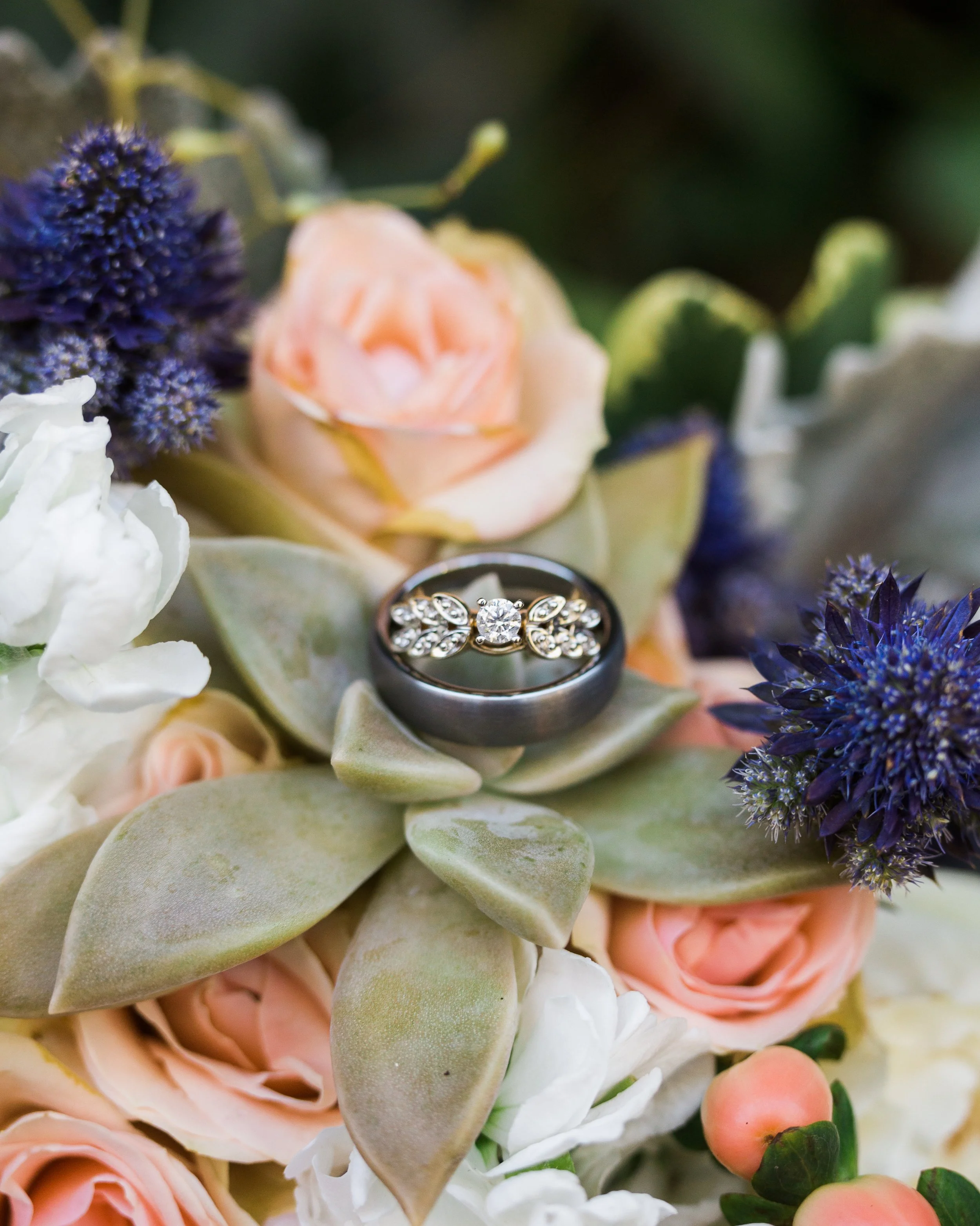 Close-up of diamond rings on a succulent surrounded by peach roses, white flowers, and purple thistles.