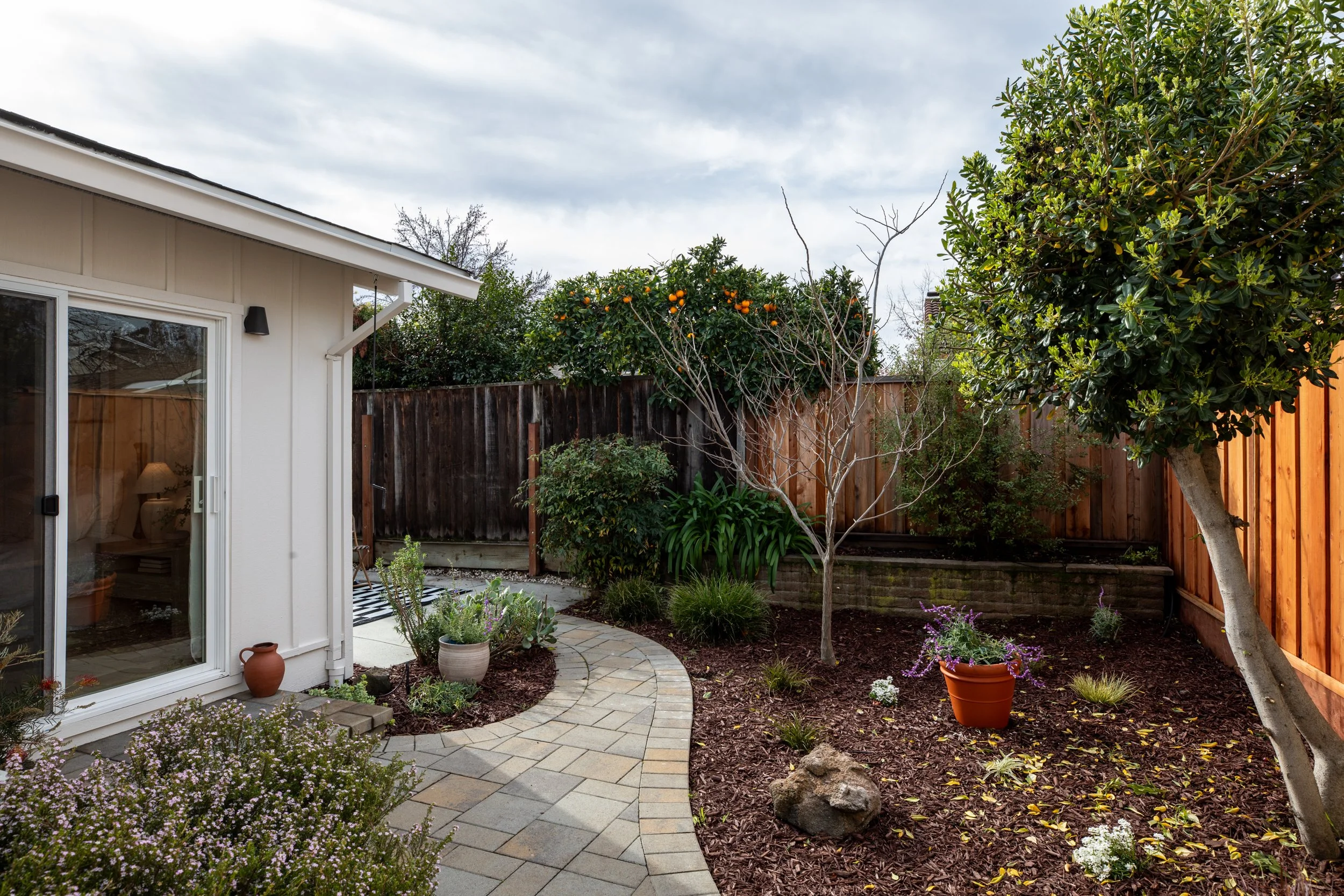 A backyard garden with a curved stone pathway, small shrubs, flowering plants, a tall leafy tree, and a smaller tree with no leaves, enclosed by a wooden fence, with part of a house visible on the left.
