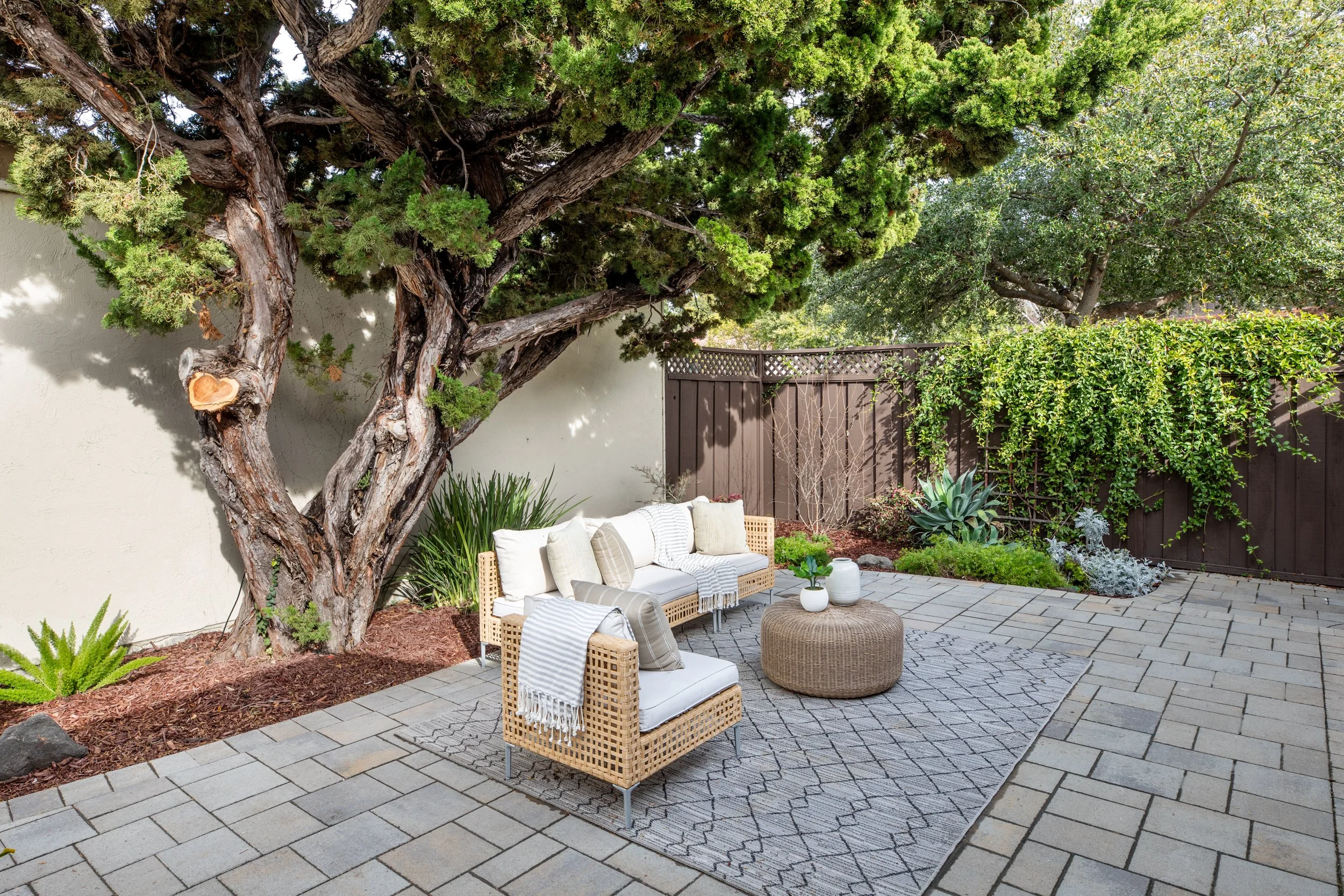 A cozy outdoor patio with wicker furniture, cushions, and throws, situated on a brick paver floor, shaded by a large twisting tree and surrounded by green plants and a brown wooden fence.