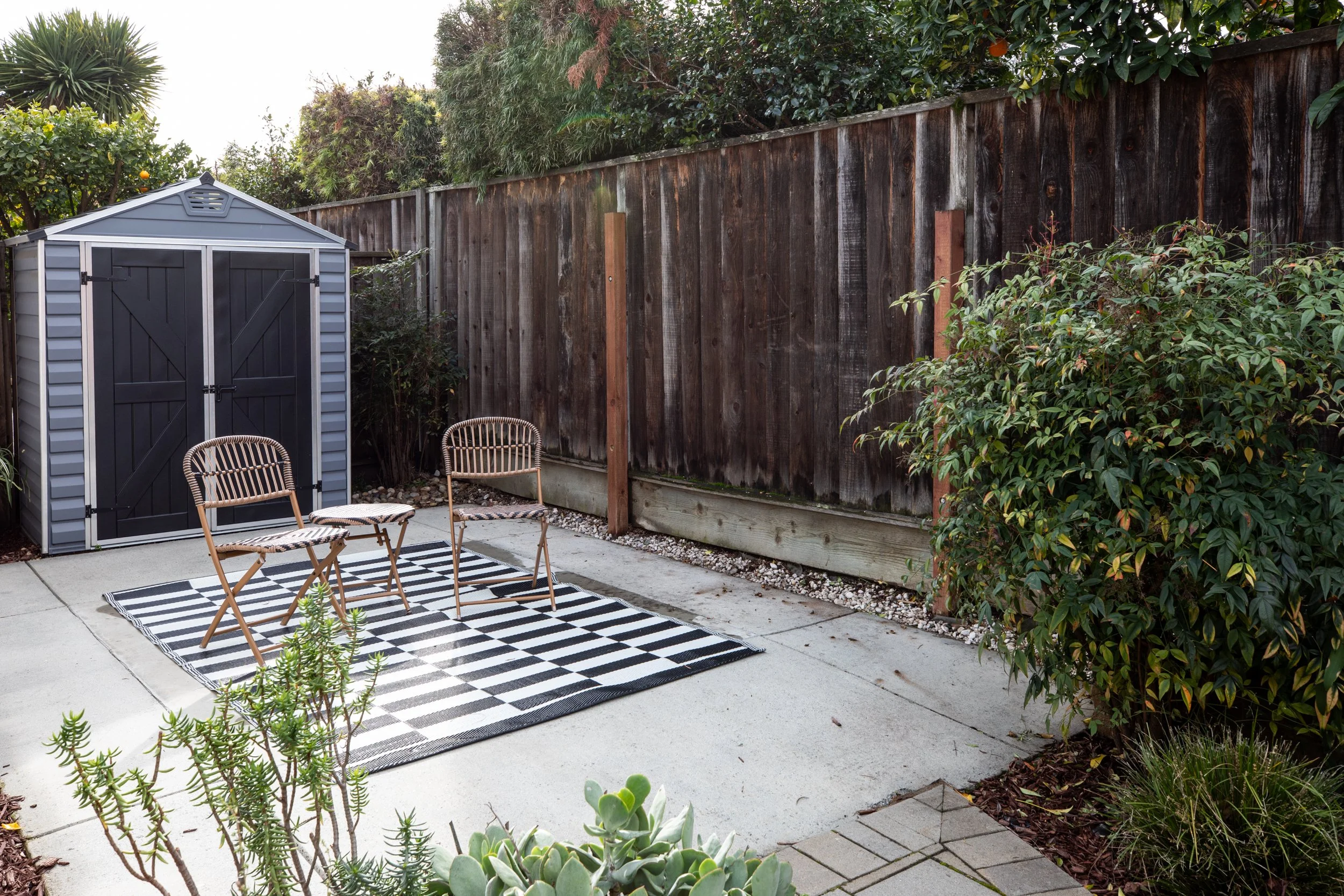 A backyard patio with two wooden chairs on a black and white striped rug, a small shed in the corner, and various green plants and bushes along the wooden fence.