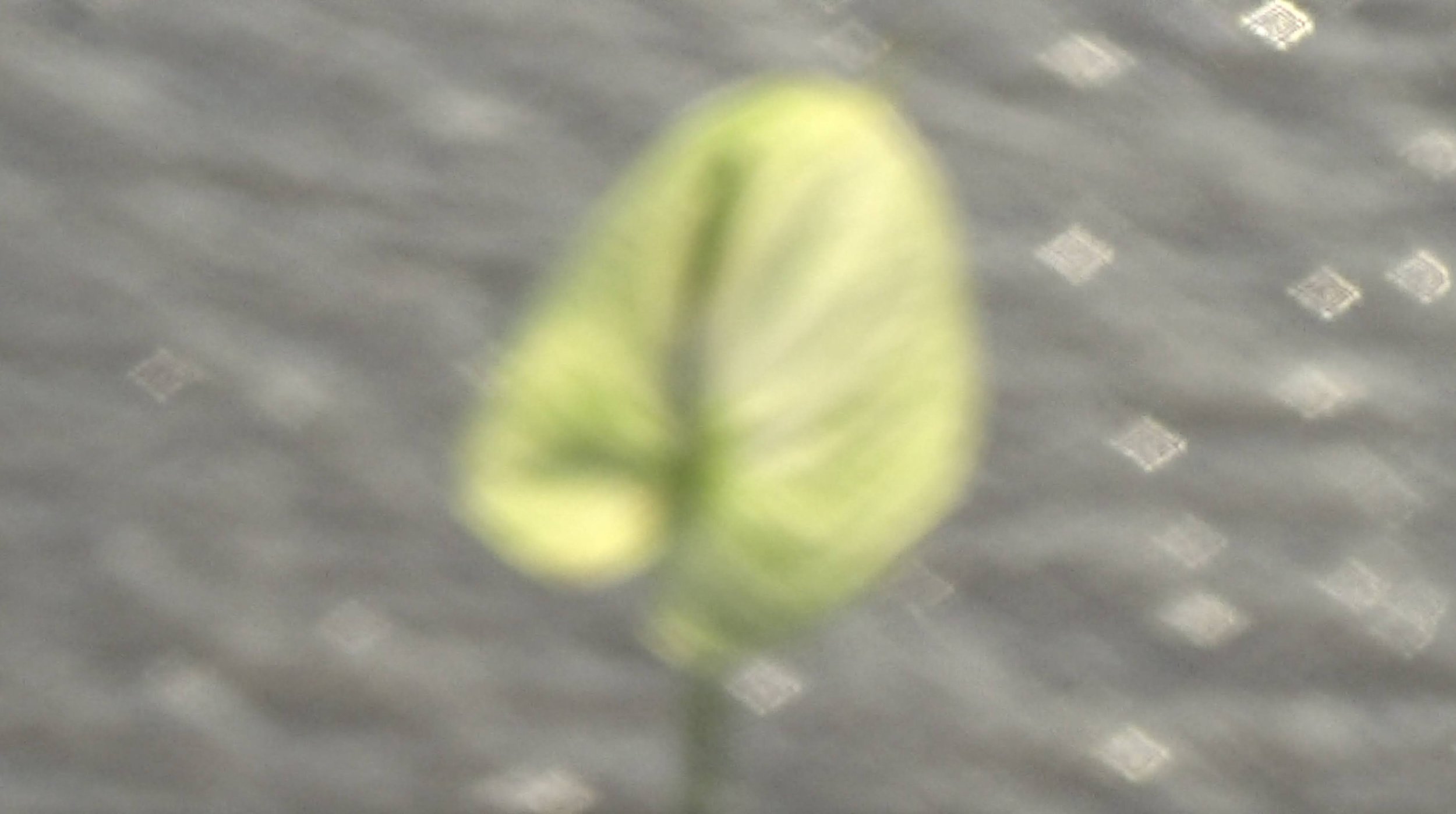 Screenshot 2025-10-30 at 11.13.01 PM (1).jpg